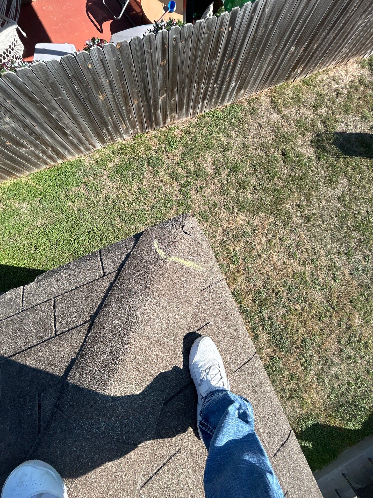 Miss Bridgette by REPS OF TEXAS