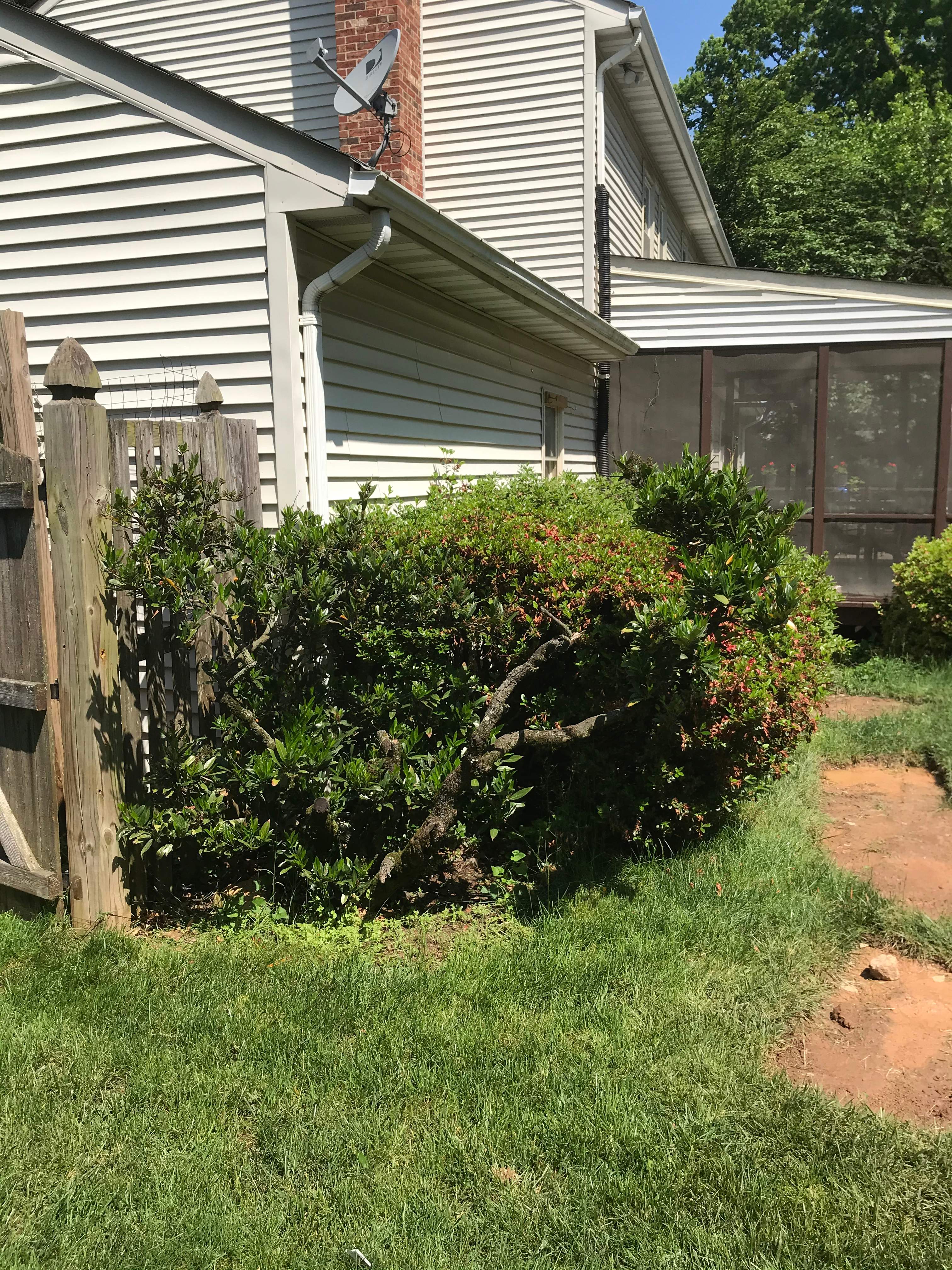 laundry and Cabana bath addition, Vienna, VA by Fairfax Contractors, LLC