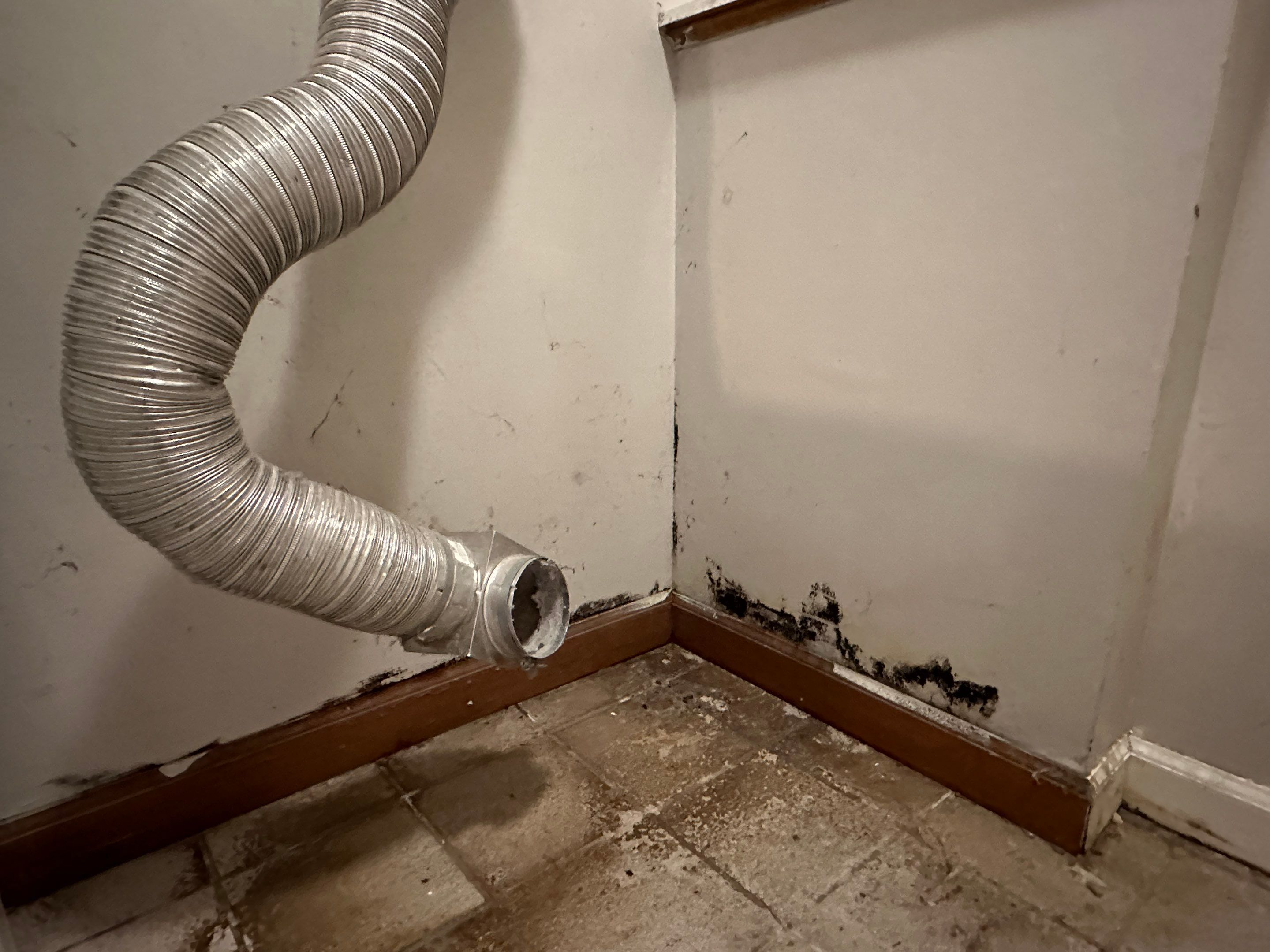 Basement Mold Remediation by Home Guarantee, LLC