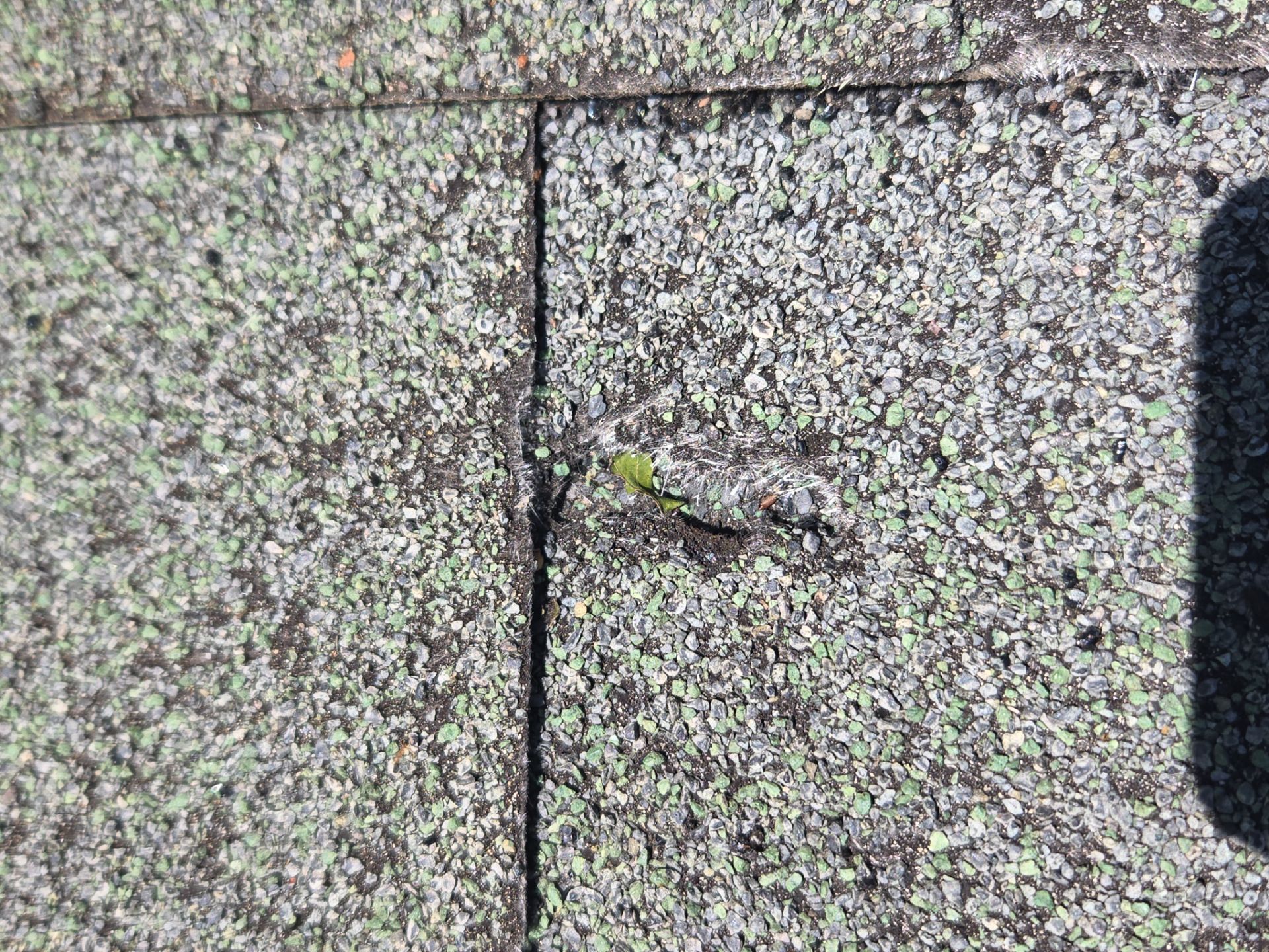 Metal Roof Installation in Jackson's Gap by NANOROOF Alabama