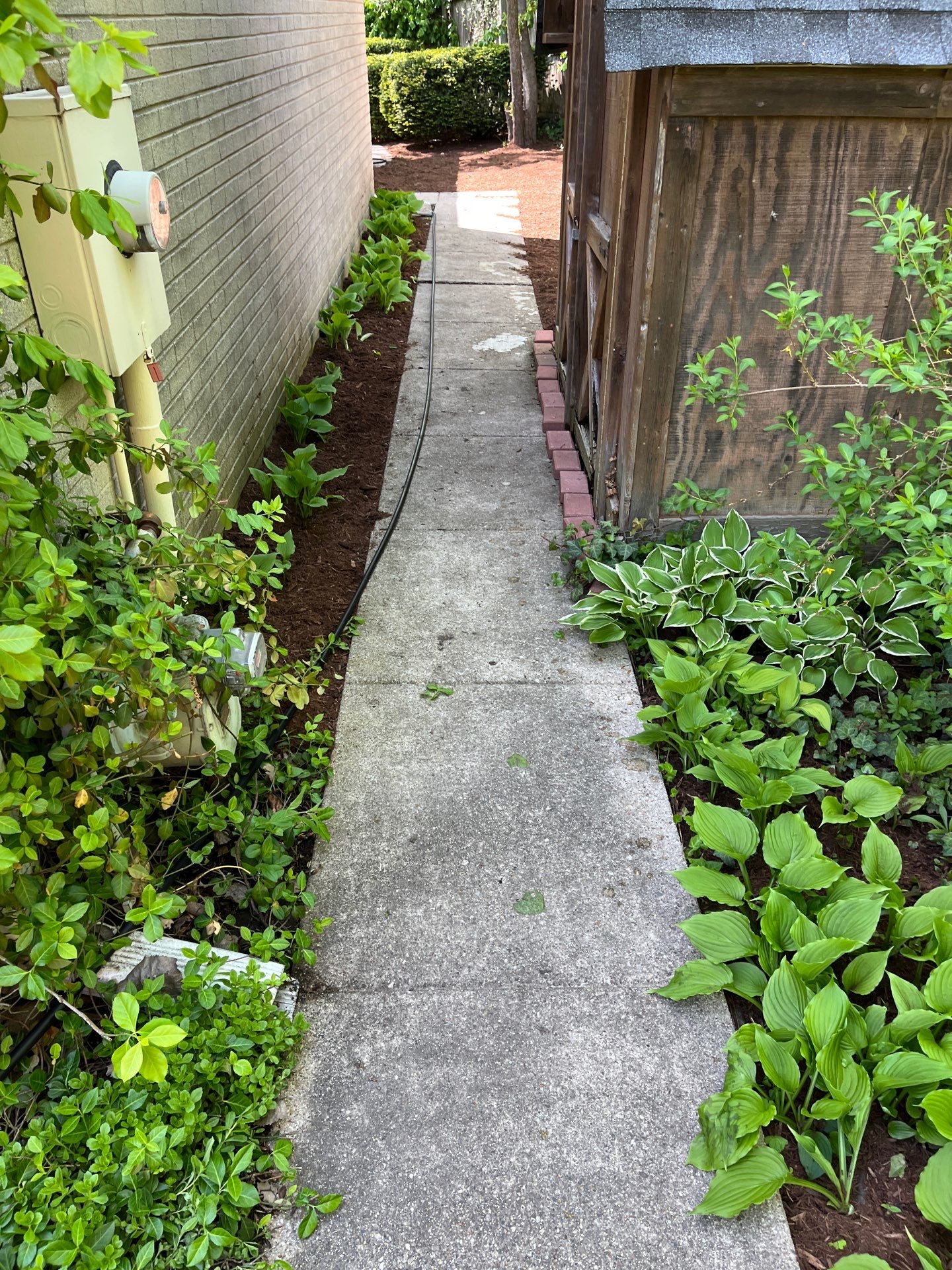 natural stone using Algaecide, soft wash soap by Northern Power Washing LLC.