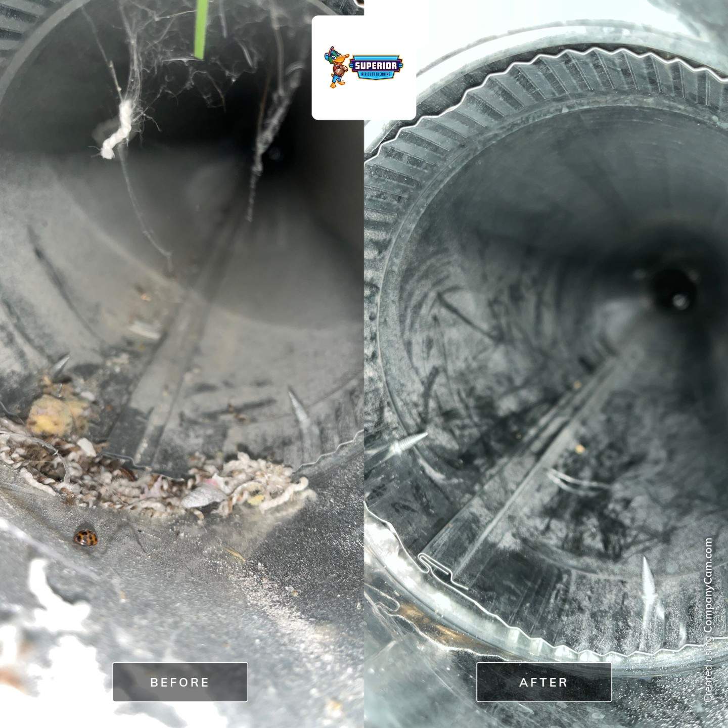 Air Duct & Dryer Vent Cleaning in Mars, PA by Superior Air Duct Cleaning
