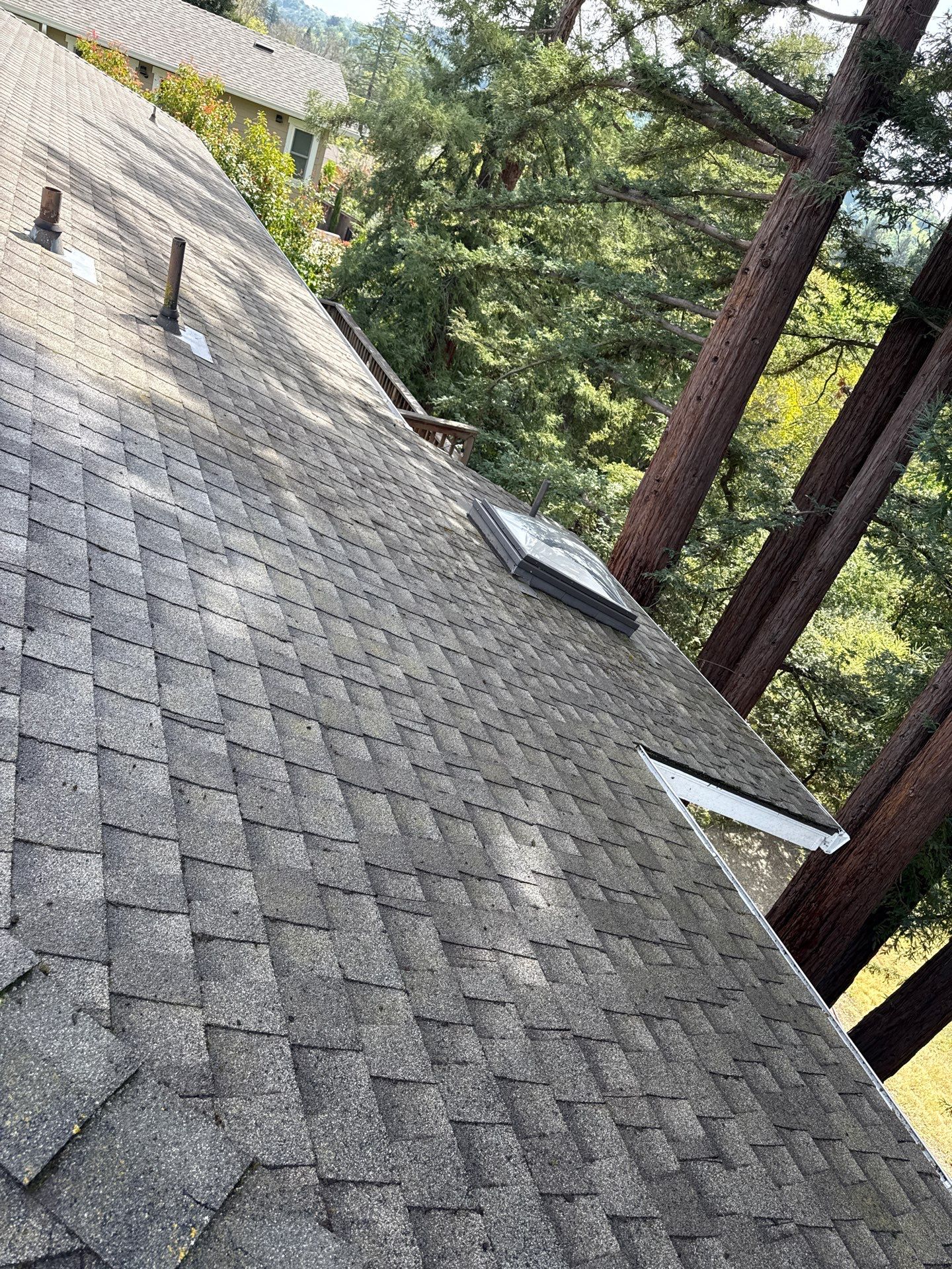 Soft Wash by Top Elevation