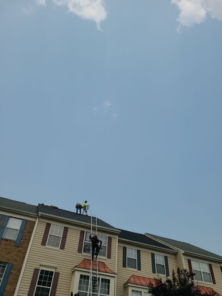 Sterling: CertainTeed Landmark Designer Shingles in Pewter by RM Banning, Inc.