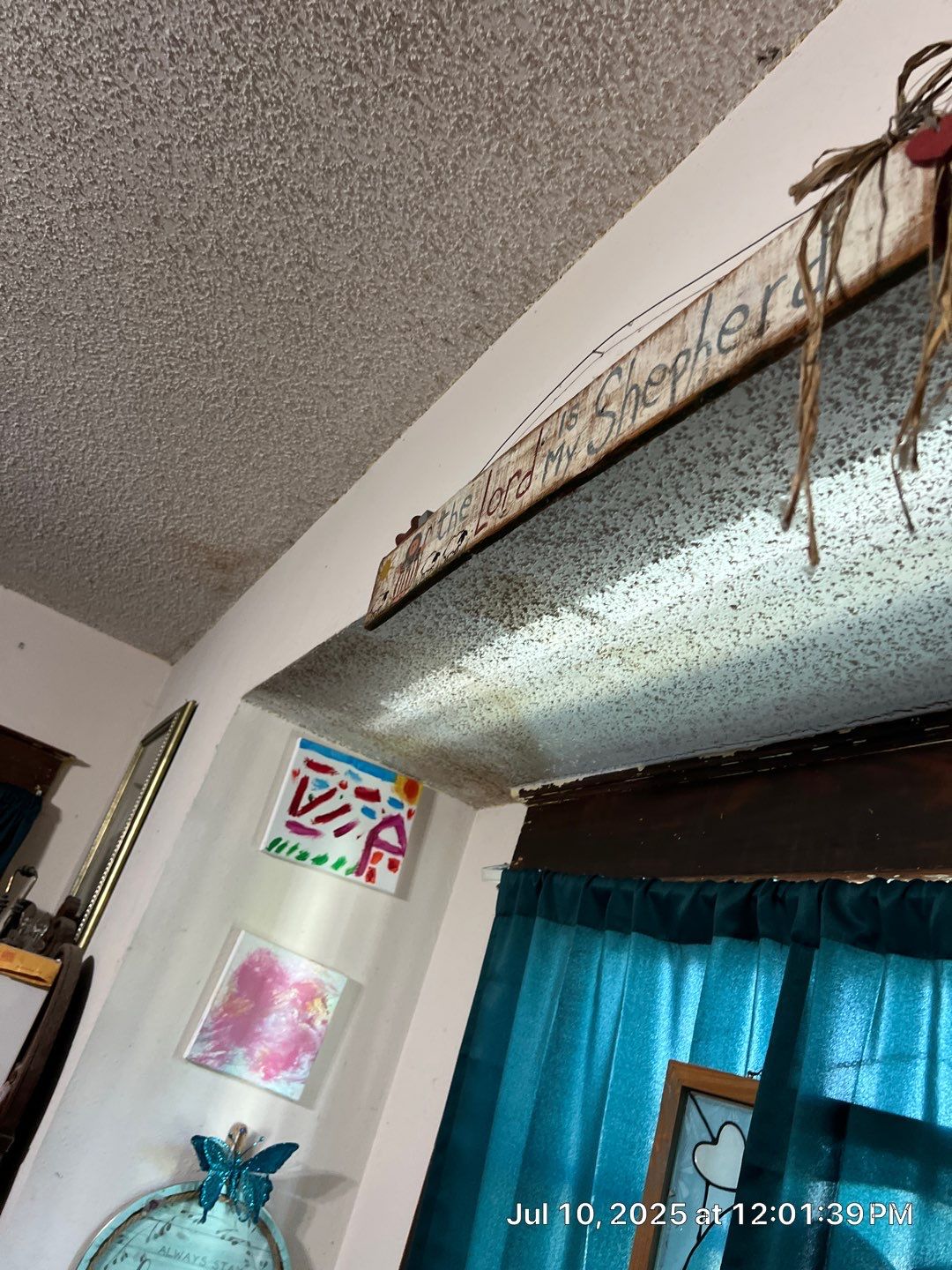 Mold Damage Inspection And Removal In Palmetto, FL by Ampm Restoration Services