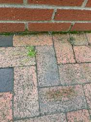 House Washing in Ramsey, NJ — Gallo Bros job photo