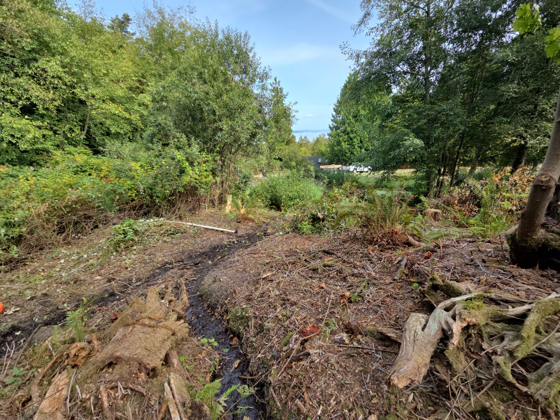 Island View - Ecological Restoration & Stewardship by Habanero Landscape Solutions