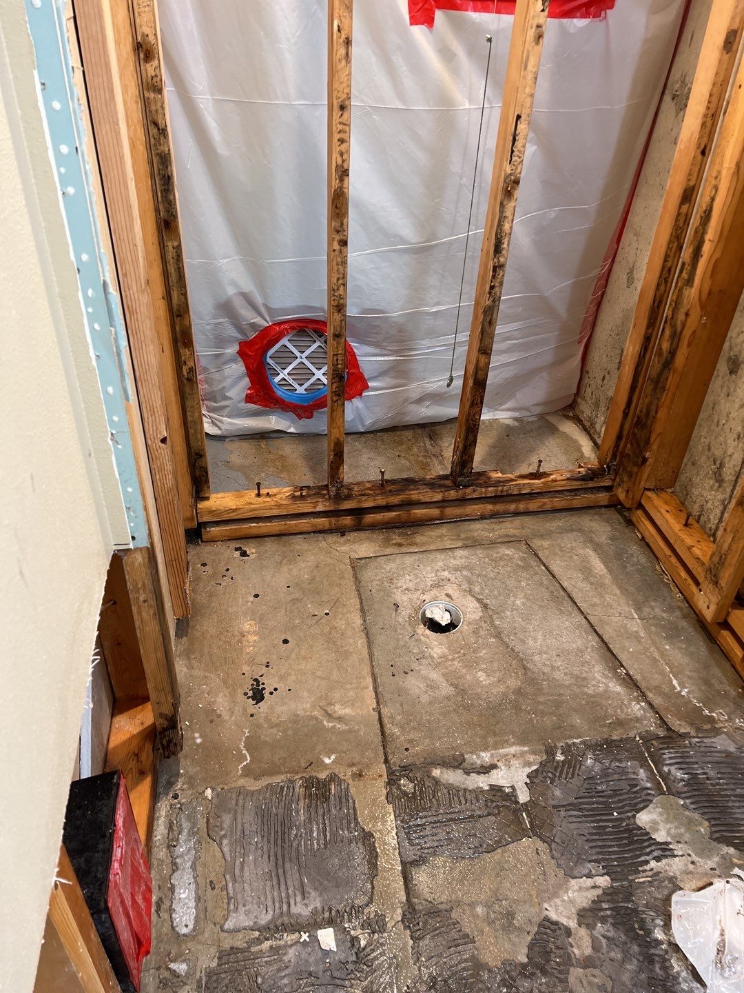 Mold Remediation by Accountable Home Services