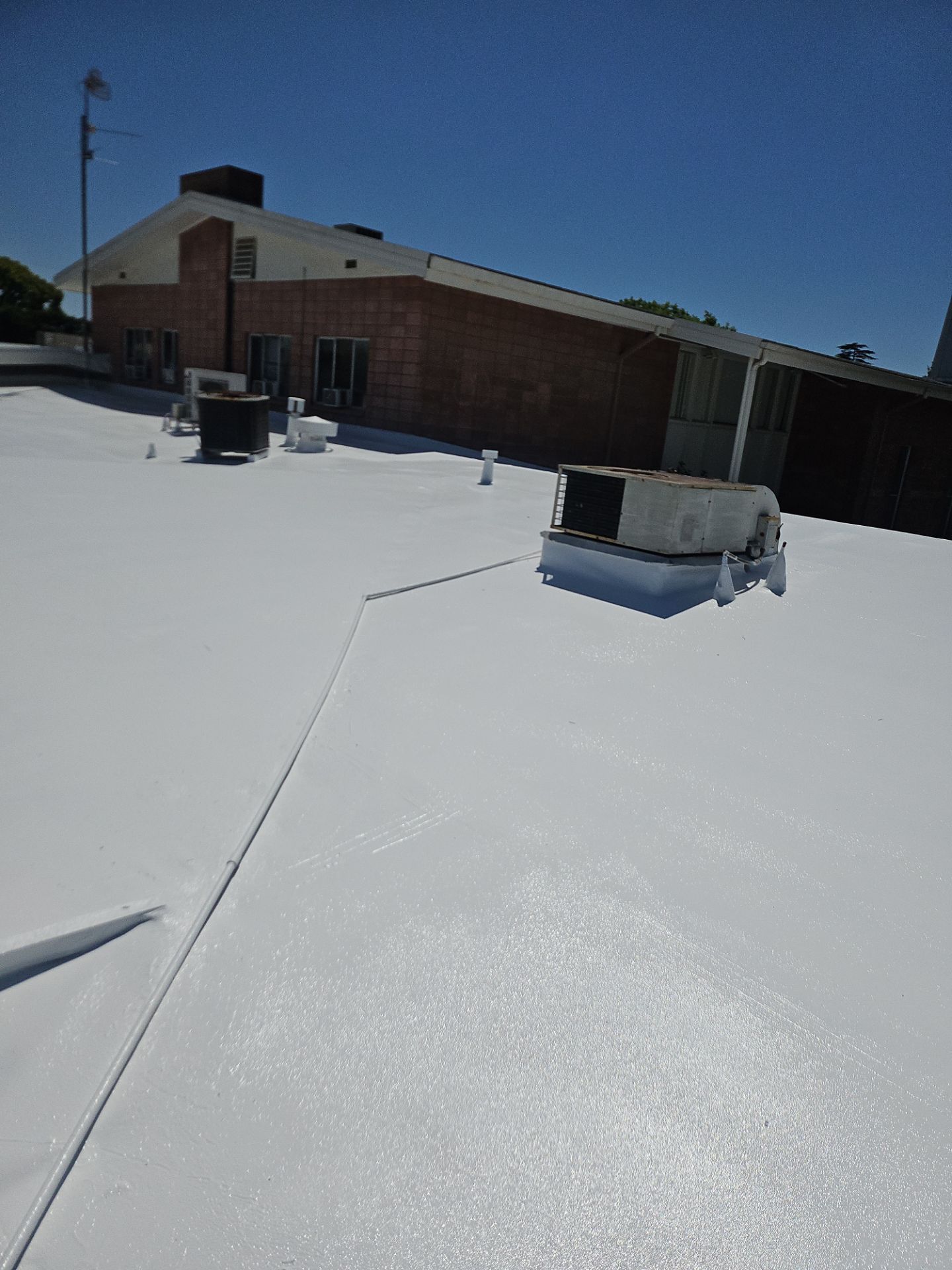 Single-ply restoration system using Benchmark/PUMA XL coatings over TPO single-ply roofing by Straight Edge Roofing Inc