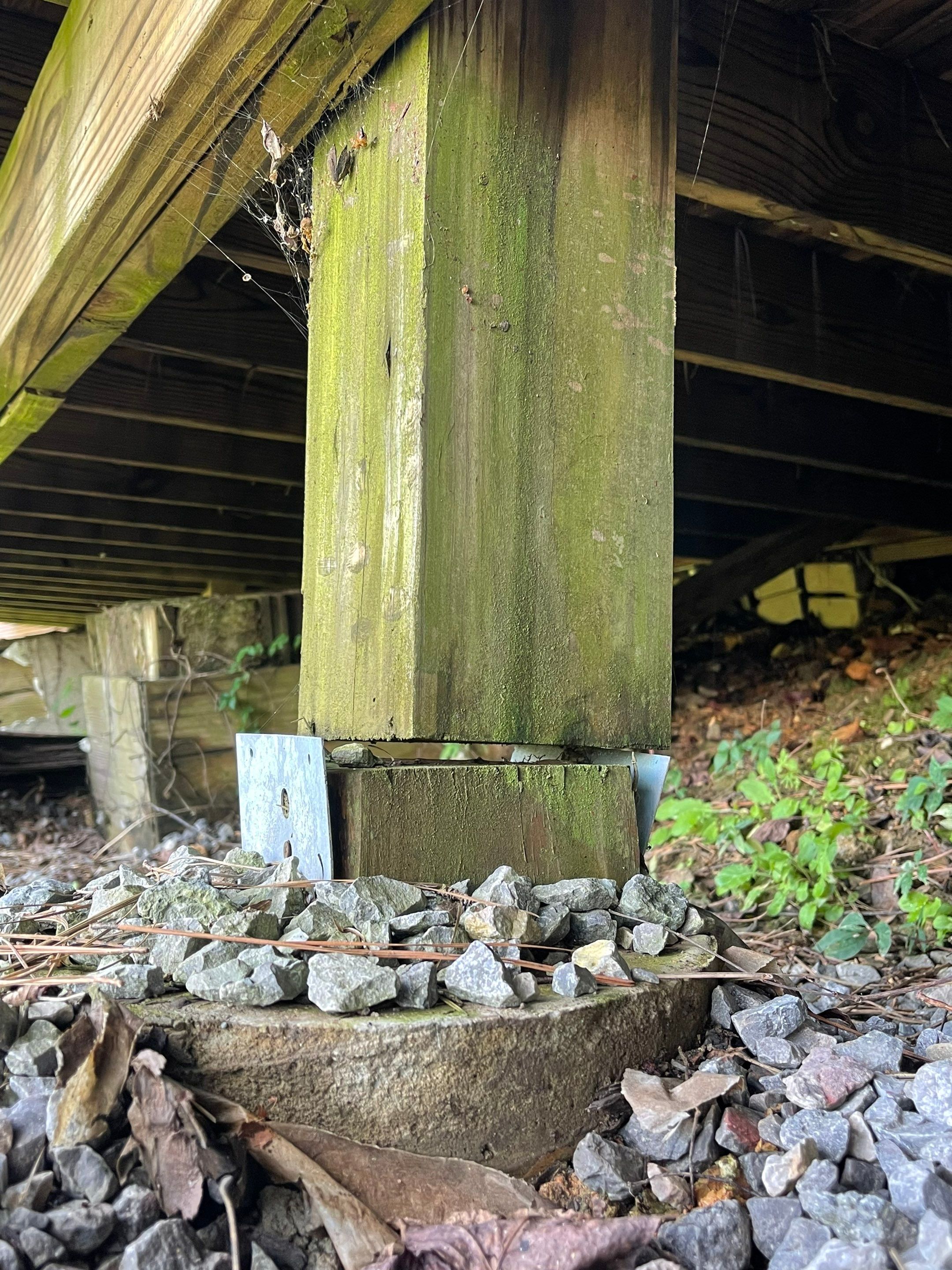 Shades Crest - Deck by Pillar and Pine