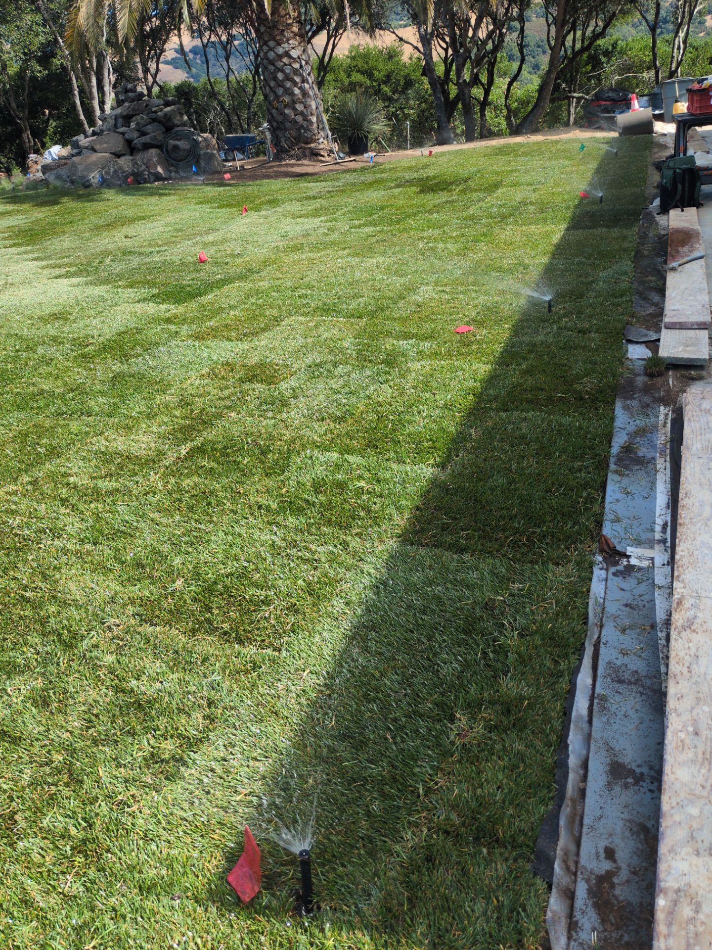 Project in Nicasio by A - G Sod Farms