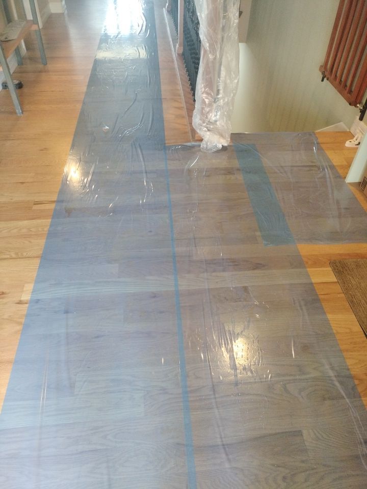 Mold Remediation by Accountable Home Services