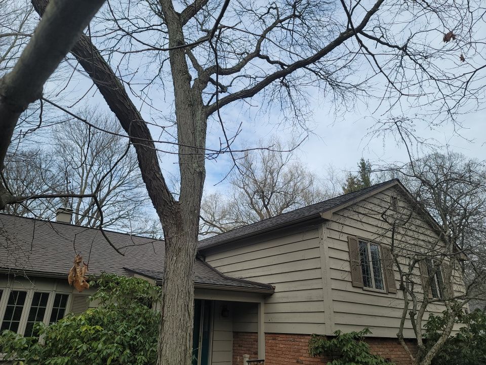 ATLAS PINNACLE HP COLOR: SCOTCHGARD HEATHERBLEND DRIP EDGE: MUSKET BROWN by Eagle Eye Roofing