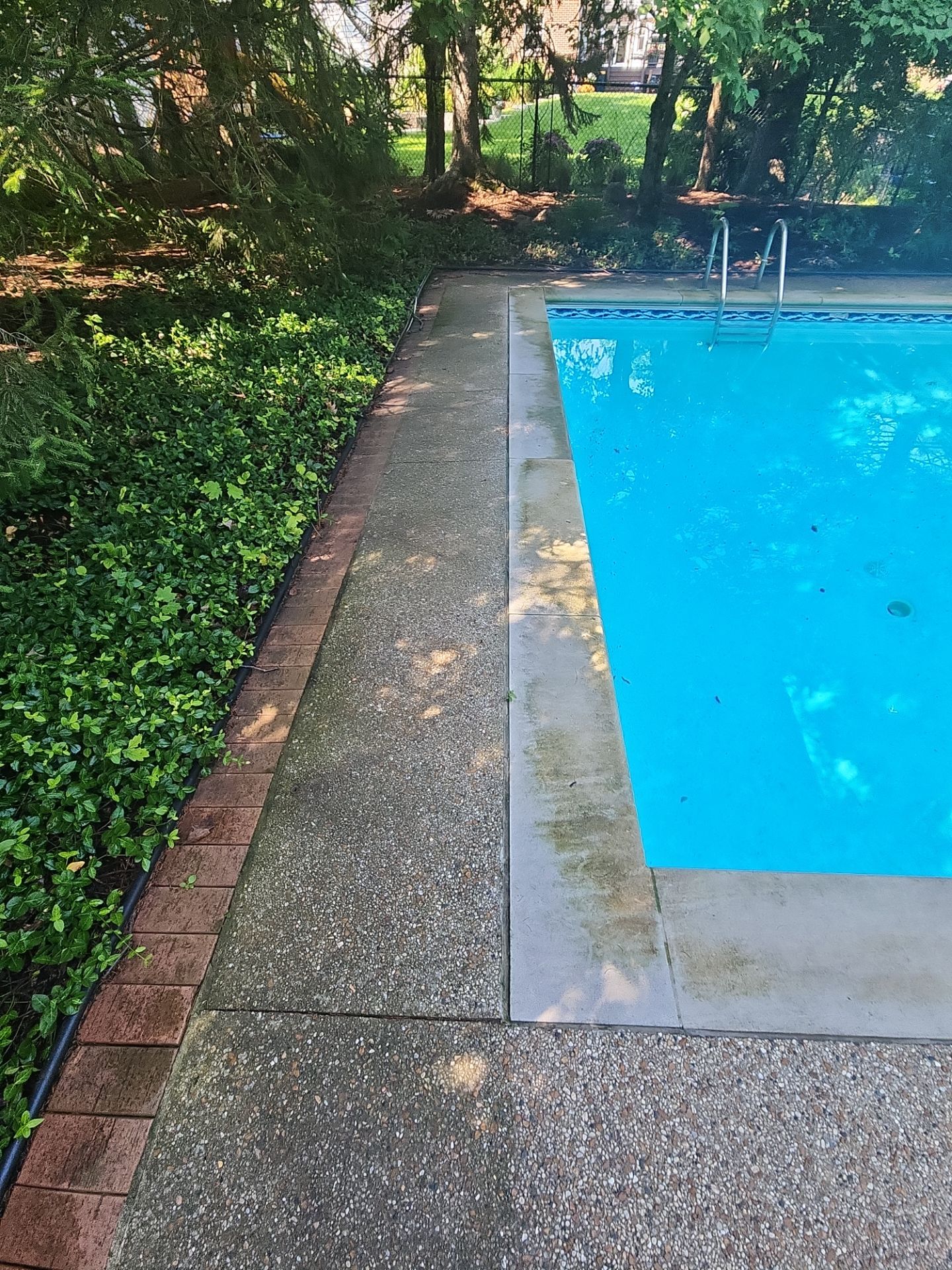 Highland Park brick cleaning by Northern Power Washing LLC.