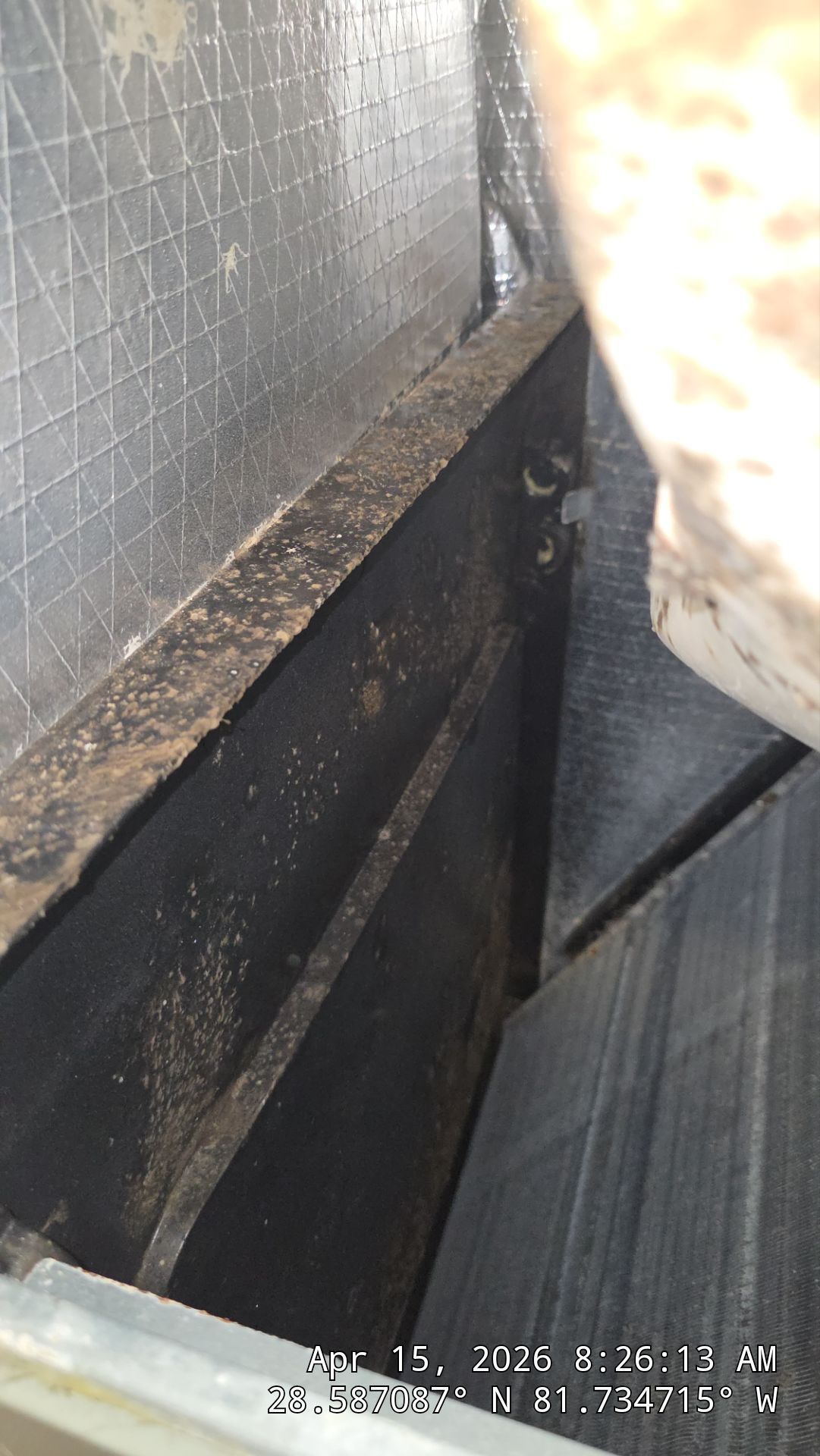 Air Duct Bath Fan Cleaning in Clermont by Hygienic Air, Inc