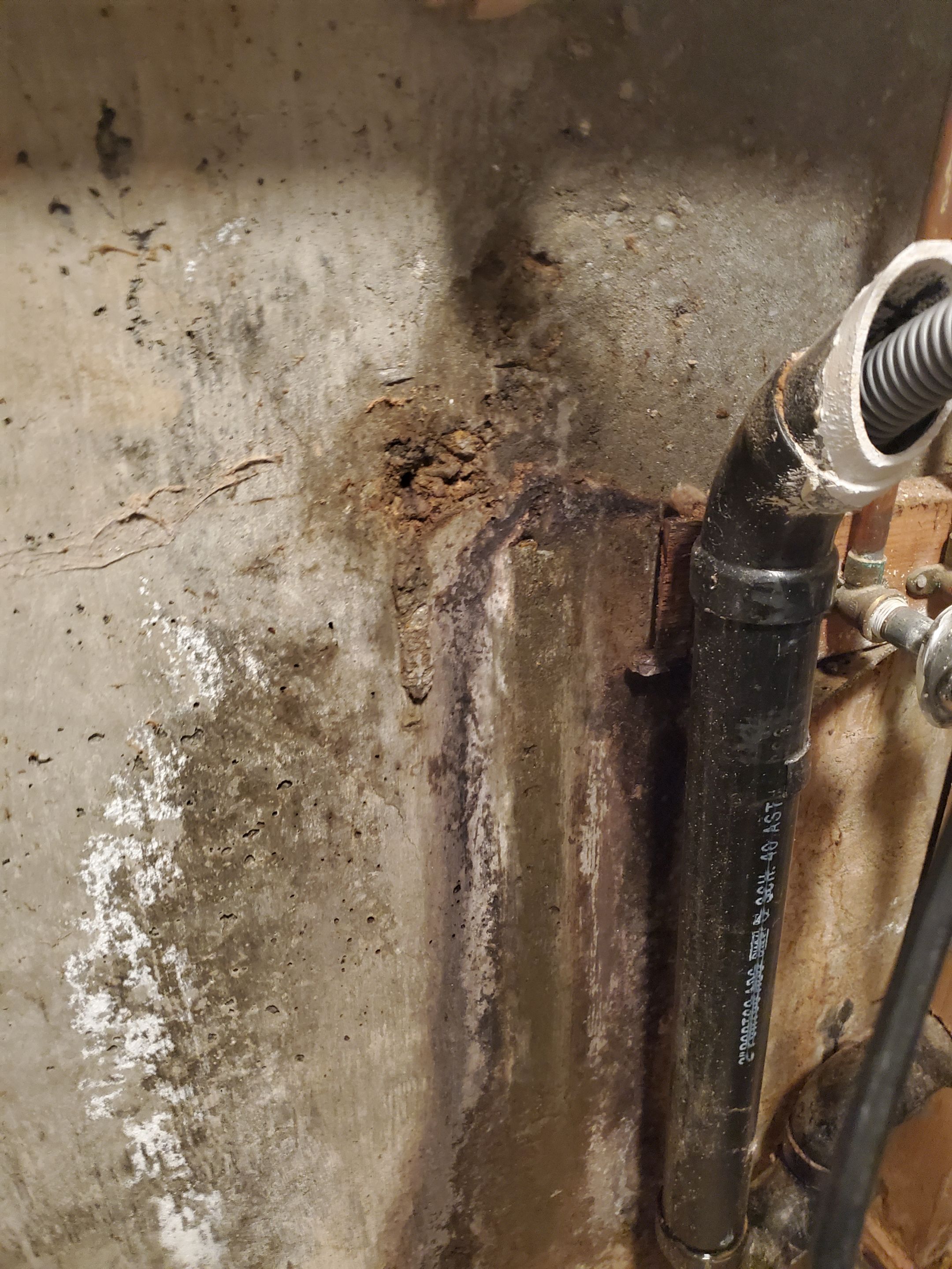 Water Damage using Air Movers by Construction Now LLC