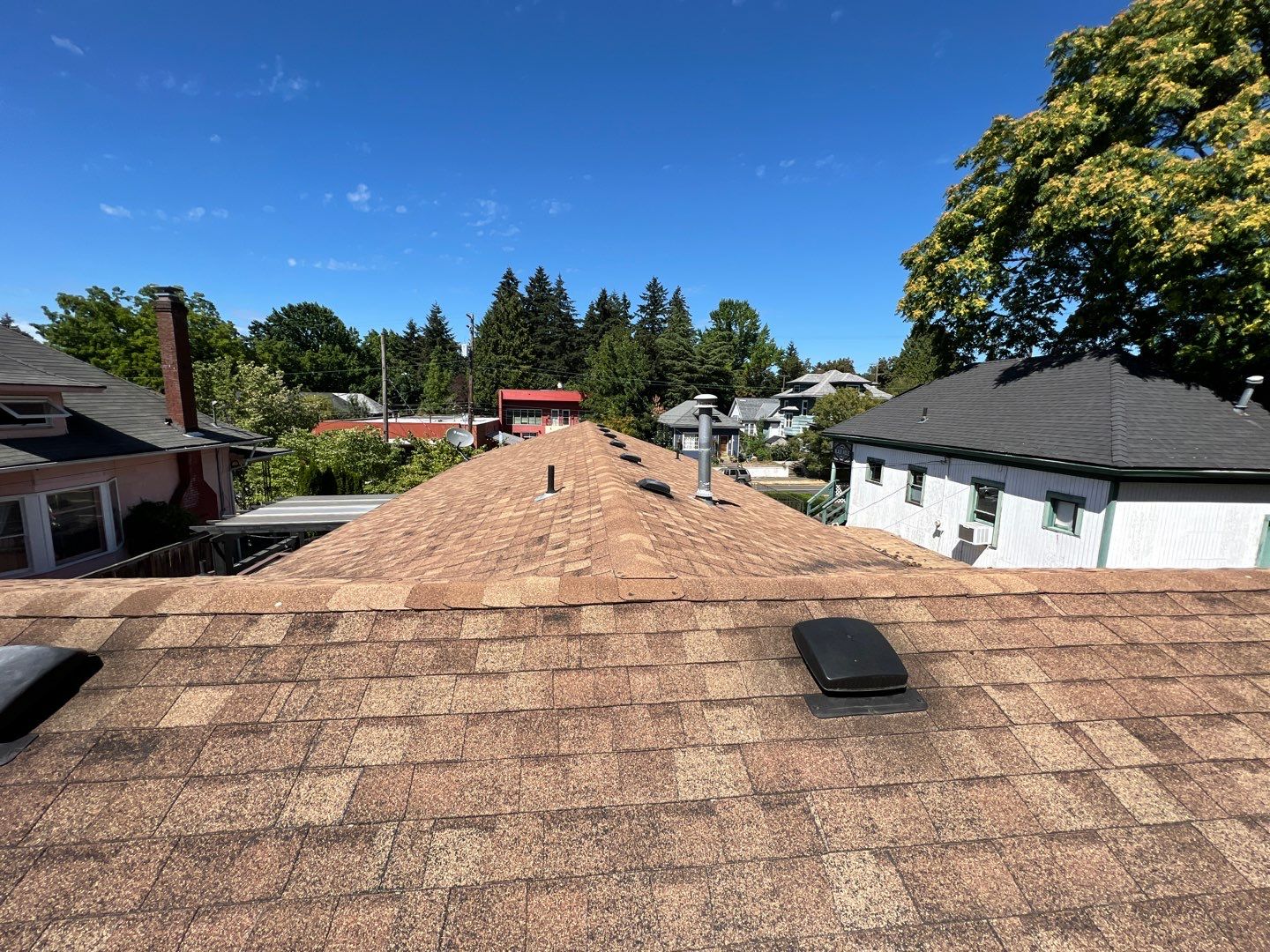 Estate Gray Shingles by Reimagine Roofing