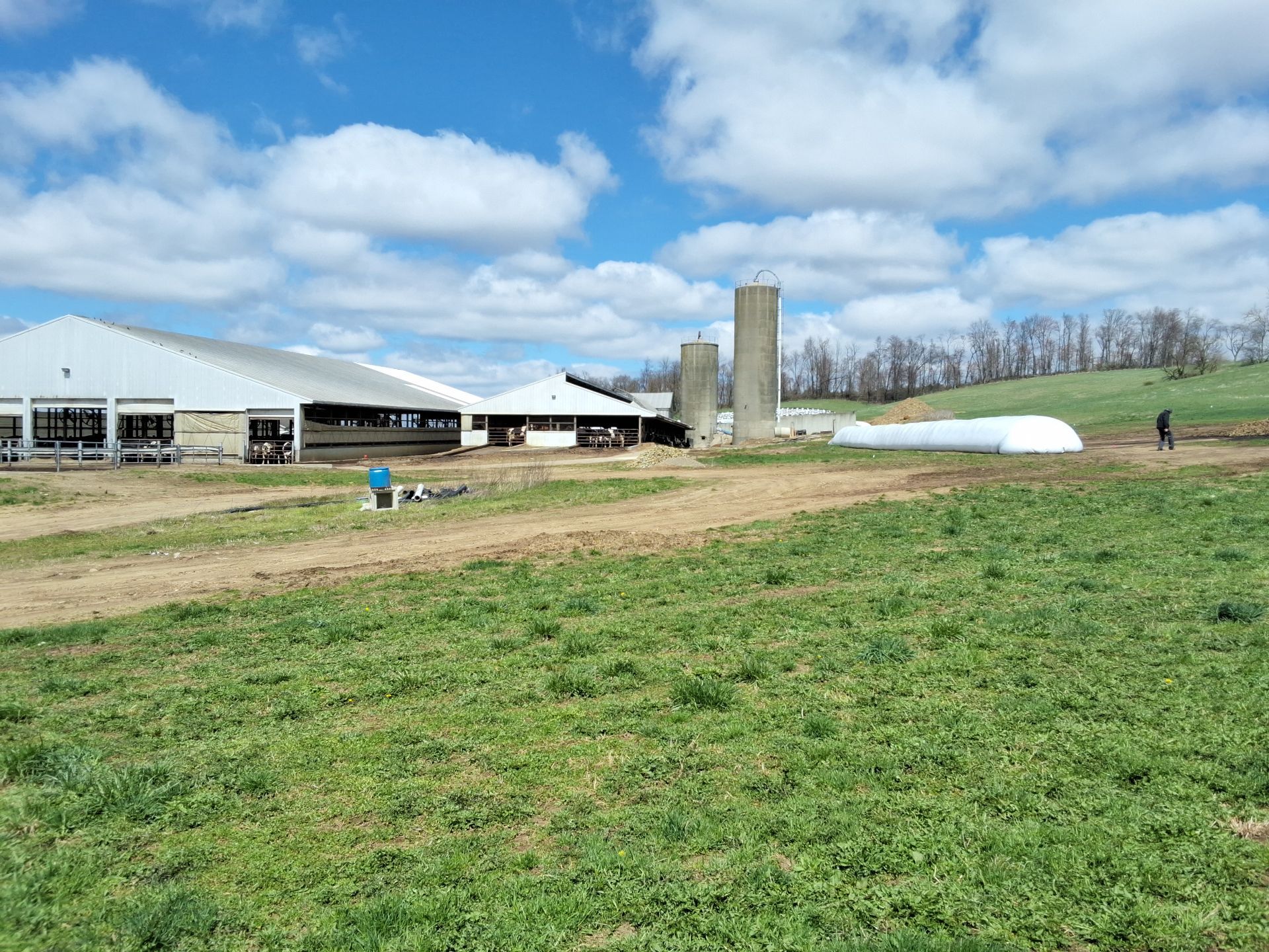 Sterlin Heights Dairy project by Avodah Contractors