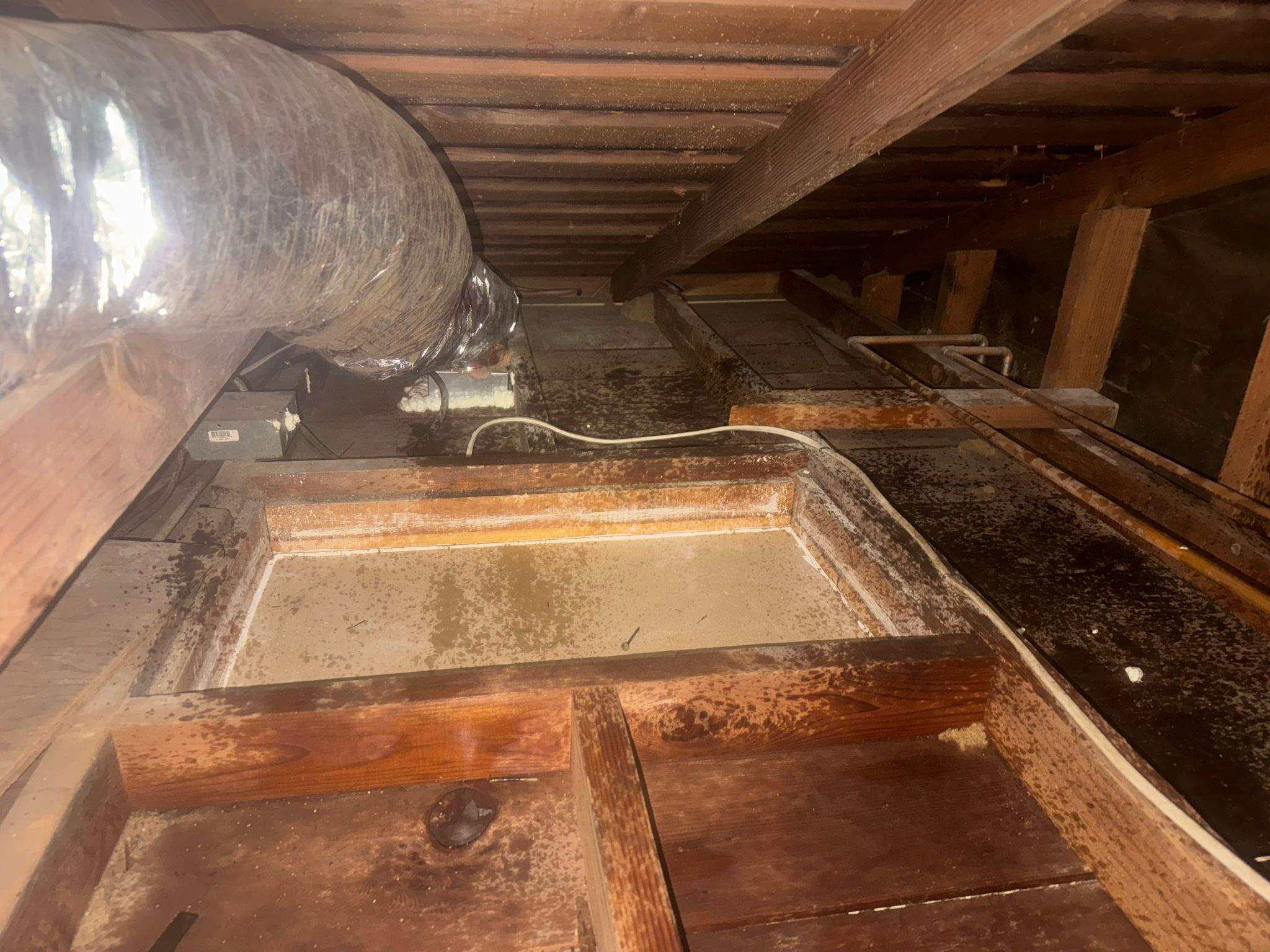 Project in Hastings Ranch Dr by Advanced Attic Solutions