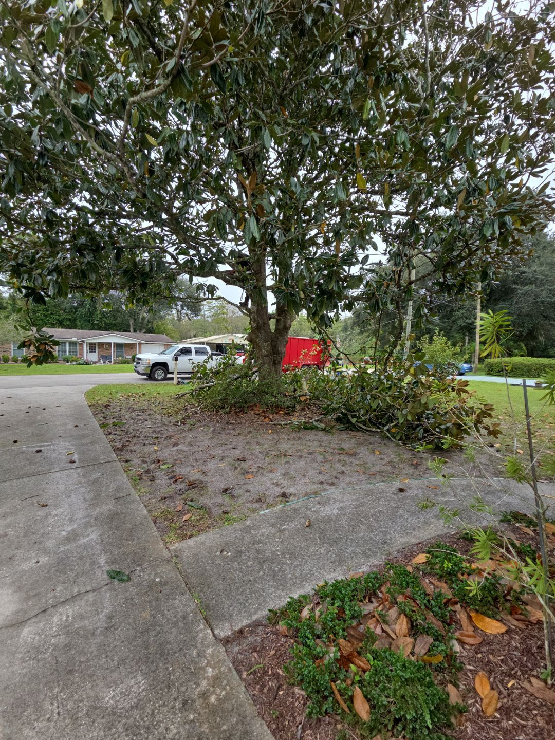 Tree Removal & Sod Install | Residential by ProGreen Services