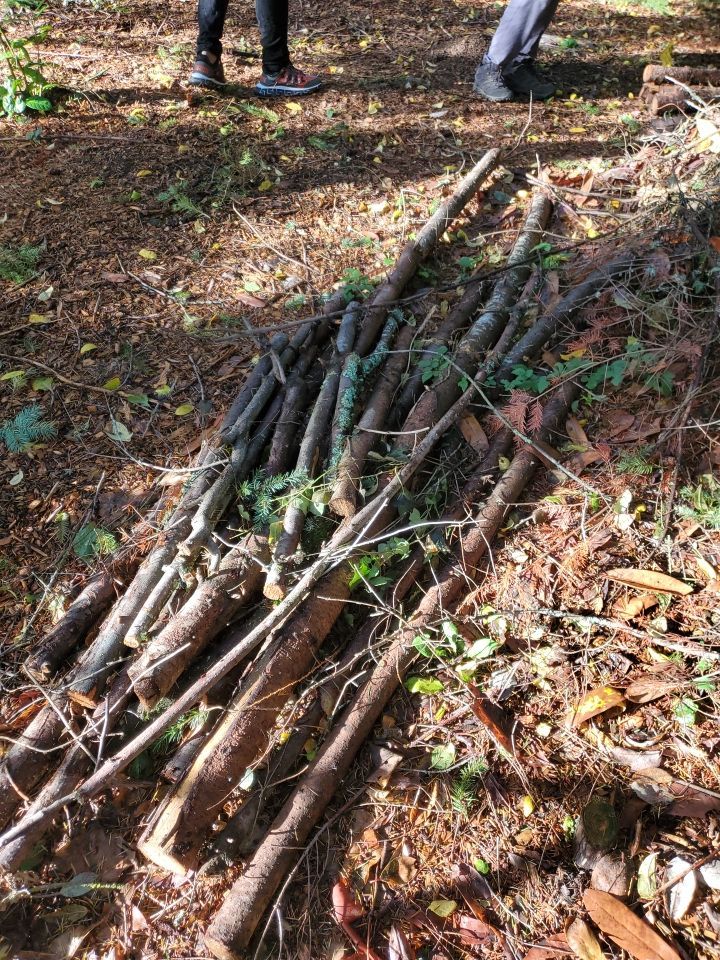 Tree Removal using Tree Removal by Mike Jones & Sons Tree Service LLC 