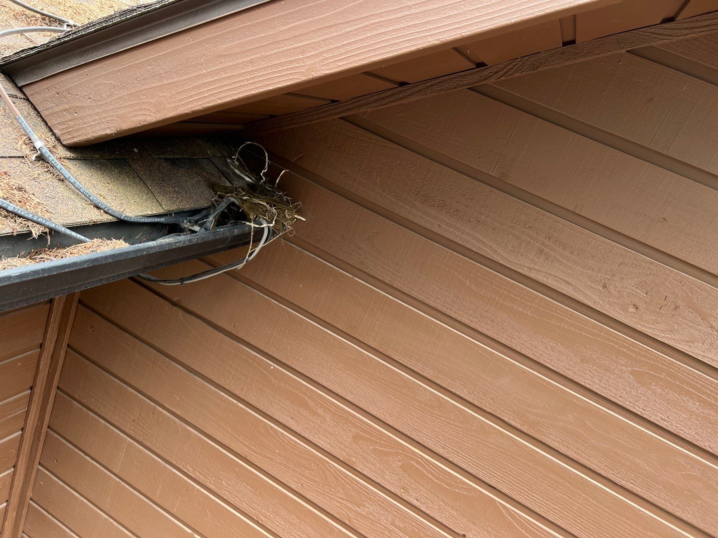 GAF Timberline HDZ - Hunter Green by Montana Roofing Solutions