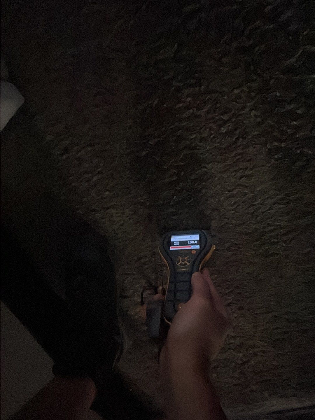 Project in Detroit by EzDry Water Mitigation & Property Restoration