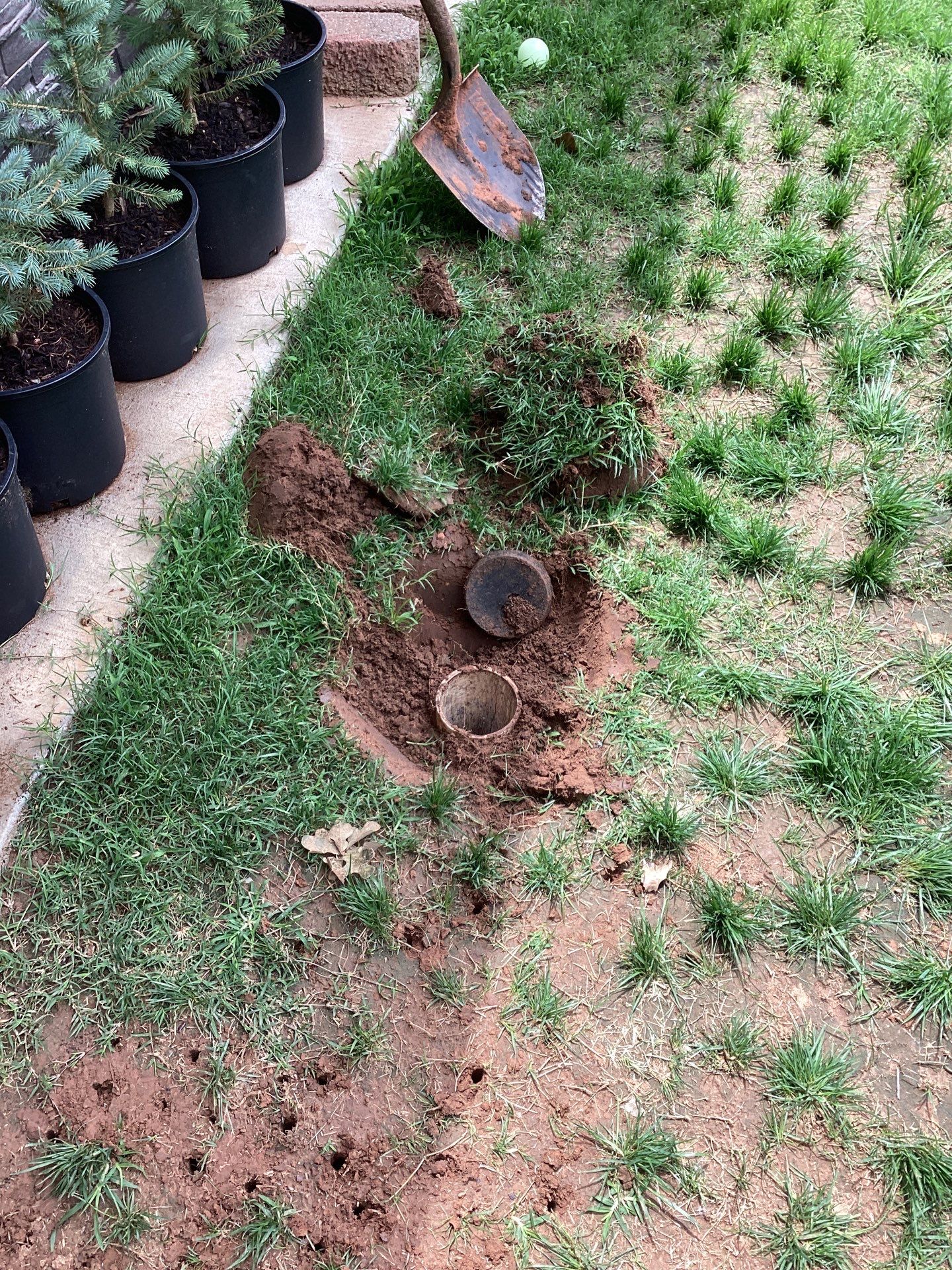 Project in Edmond by PRO-ROOTER