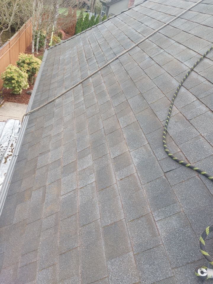 Roof Cleaning  using Moss Treatment  by BEST Roofing & Waterproofing