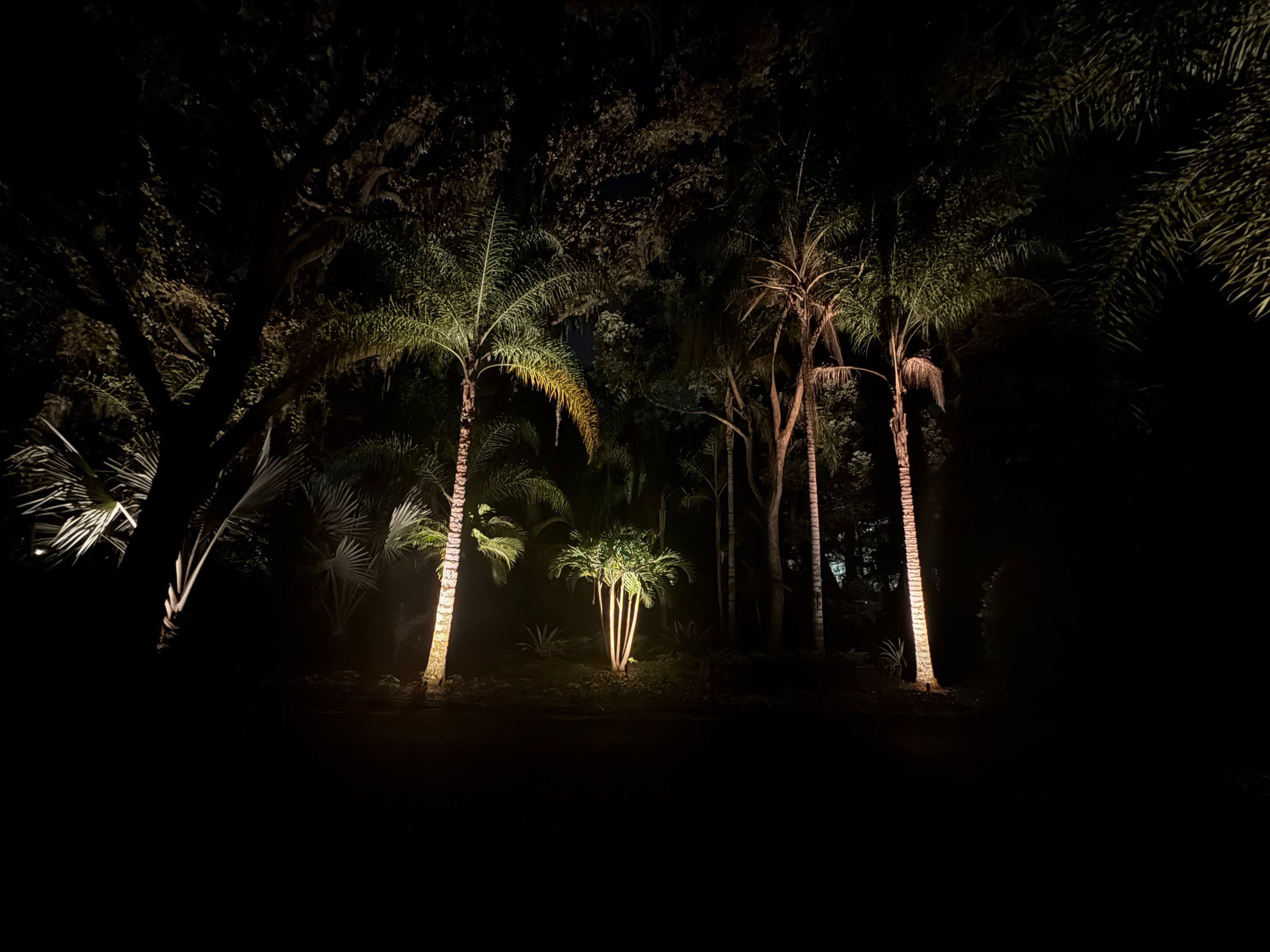 Custom Residential Landscape and Tree Uplighting Project in Odessa by Elegant Accents 