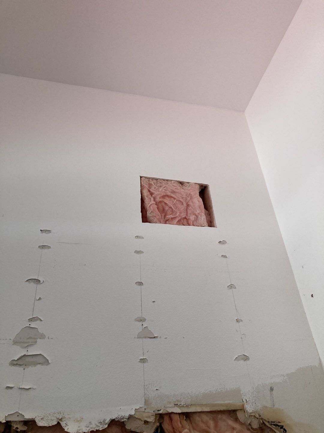 Mold Remediation using Containment by Accountable Home Services