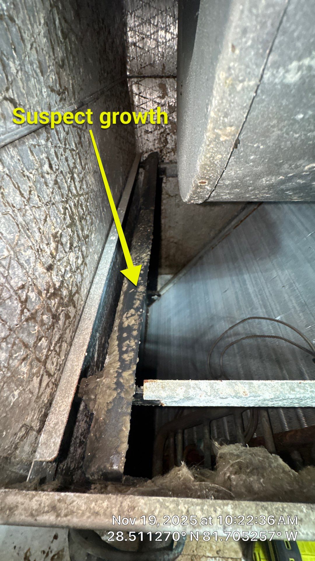 Air Duct Cleaning in Clermont by Hygienic Air, Inc