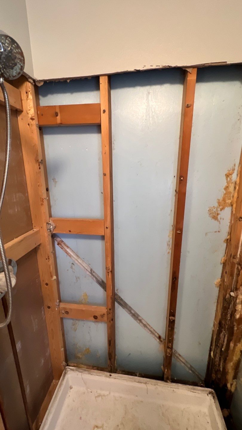 Water Damage and Mold Remediation by Accountable Home Services