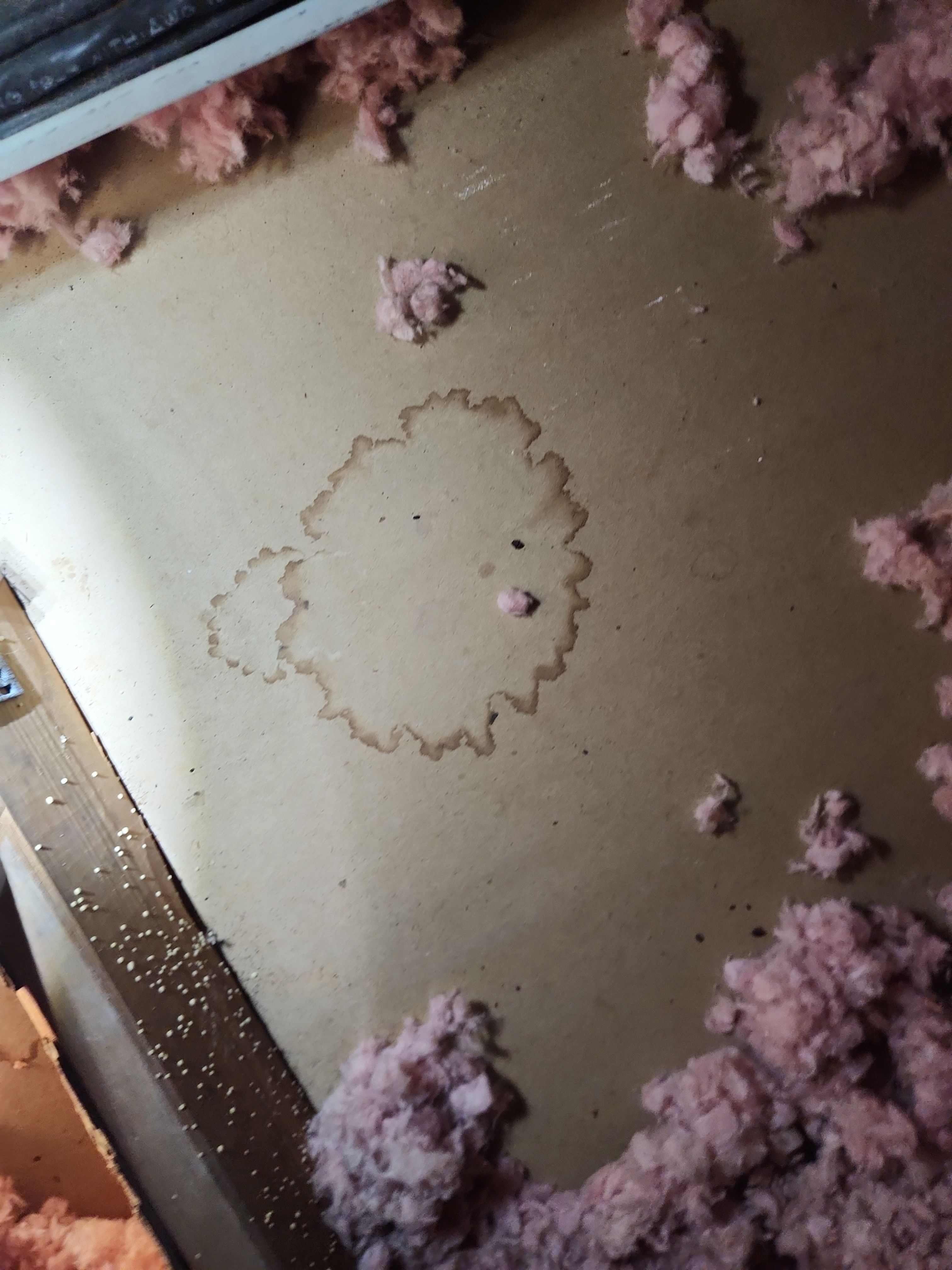 Clay Tile Roof Leak Repair and Sheathing Replacement in Hollywood by Aastro Roofing