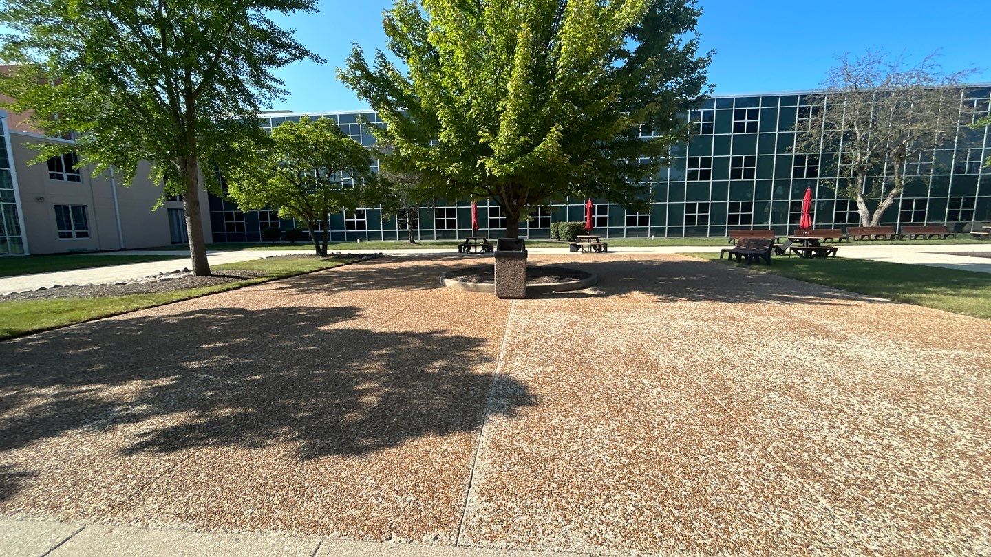 concrete using Algaecide, soft wash soap by Northern Power Washing LLC.