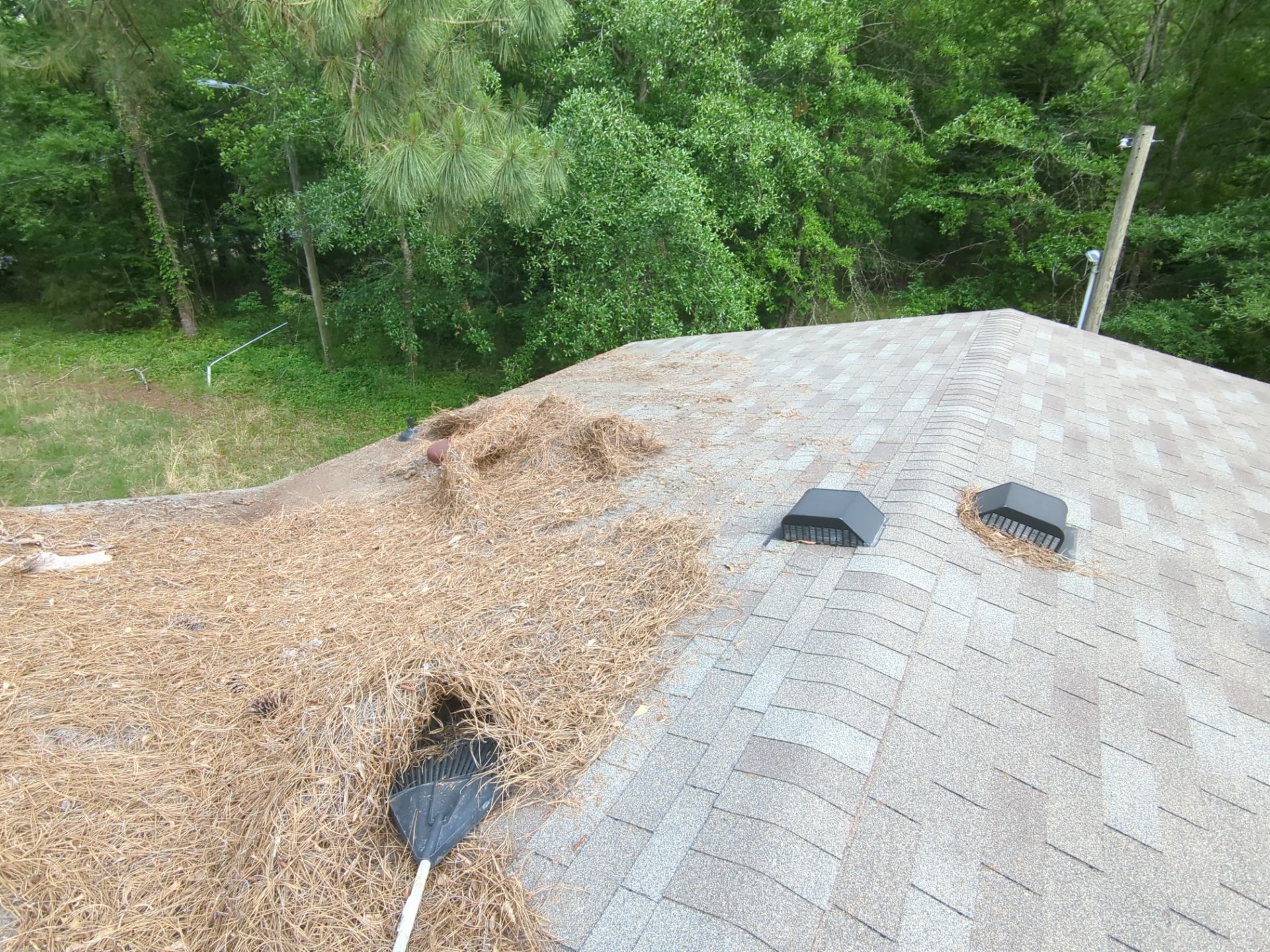 Exterior Clearing - tree trimming - grass cut by Swift Signings and Services LLC