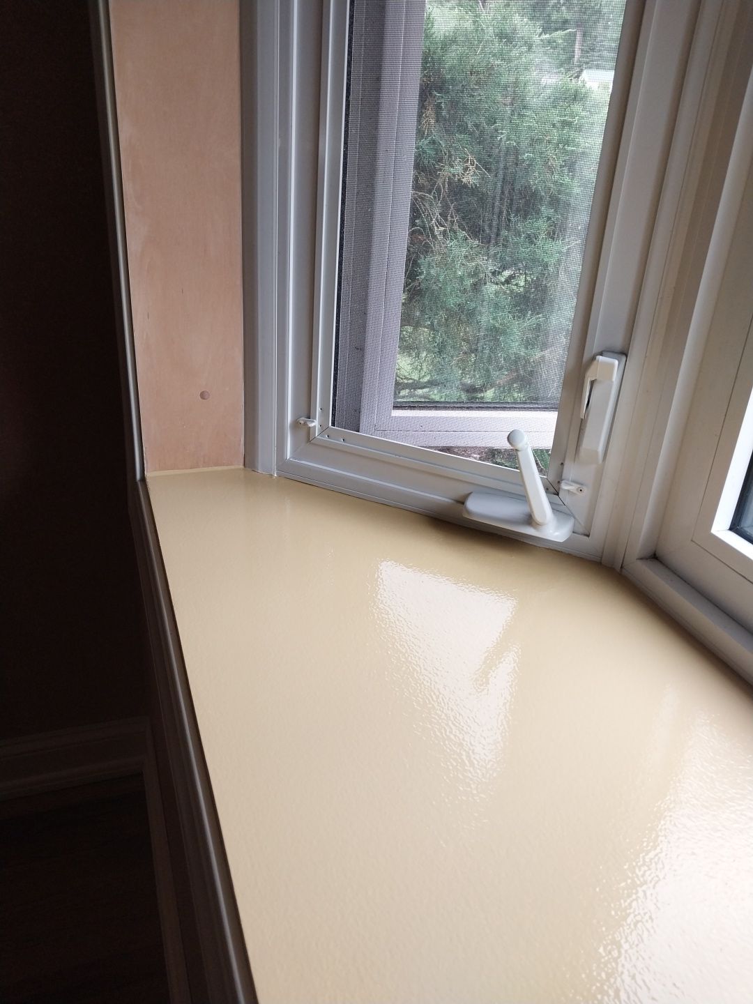 Window Repair using Sherwin Williams Emerald  by Laser Focused Solutions LLC