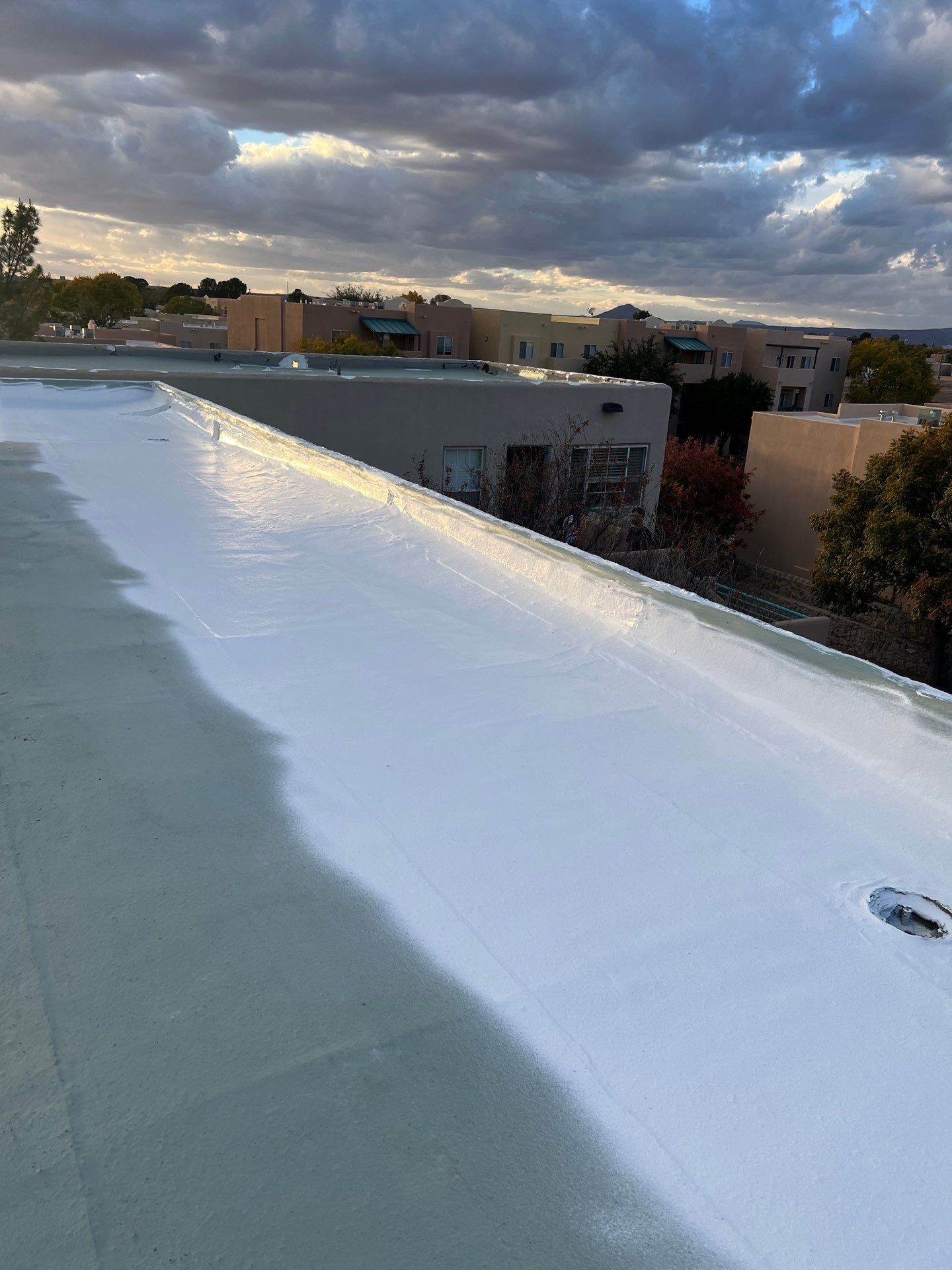 Las Palmas Apartments by SPF Services 