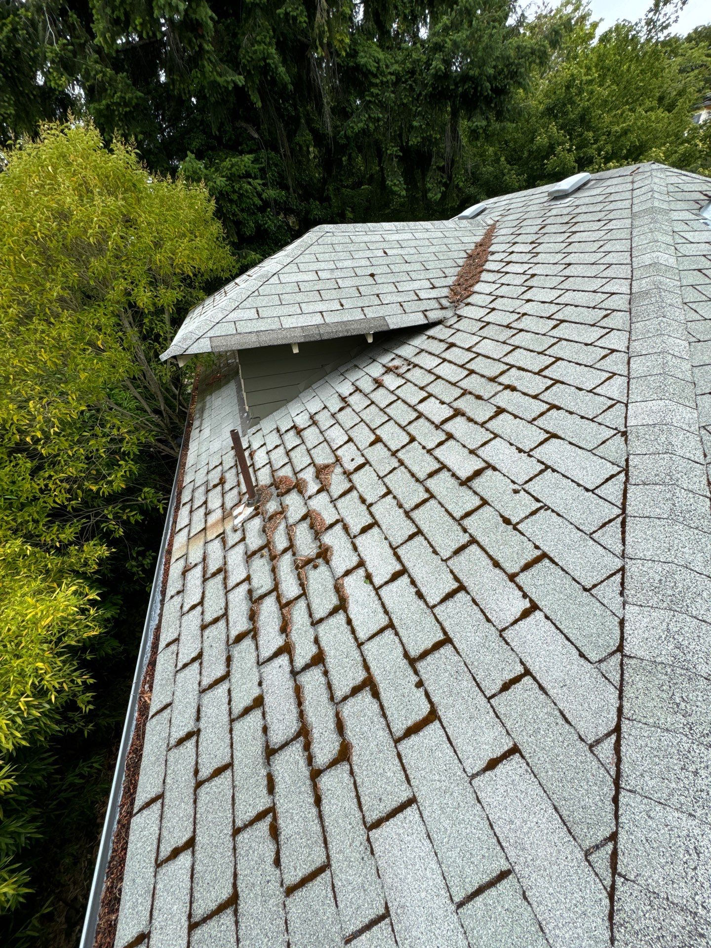 Project in Seattle by Peaks and Valleys Construction