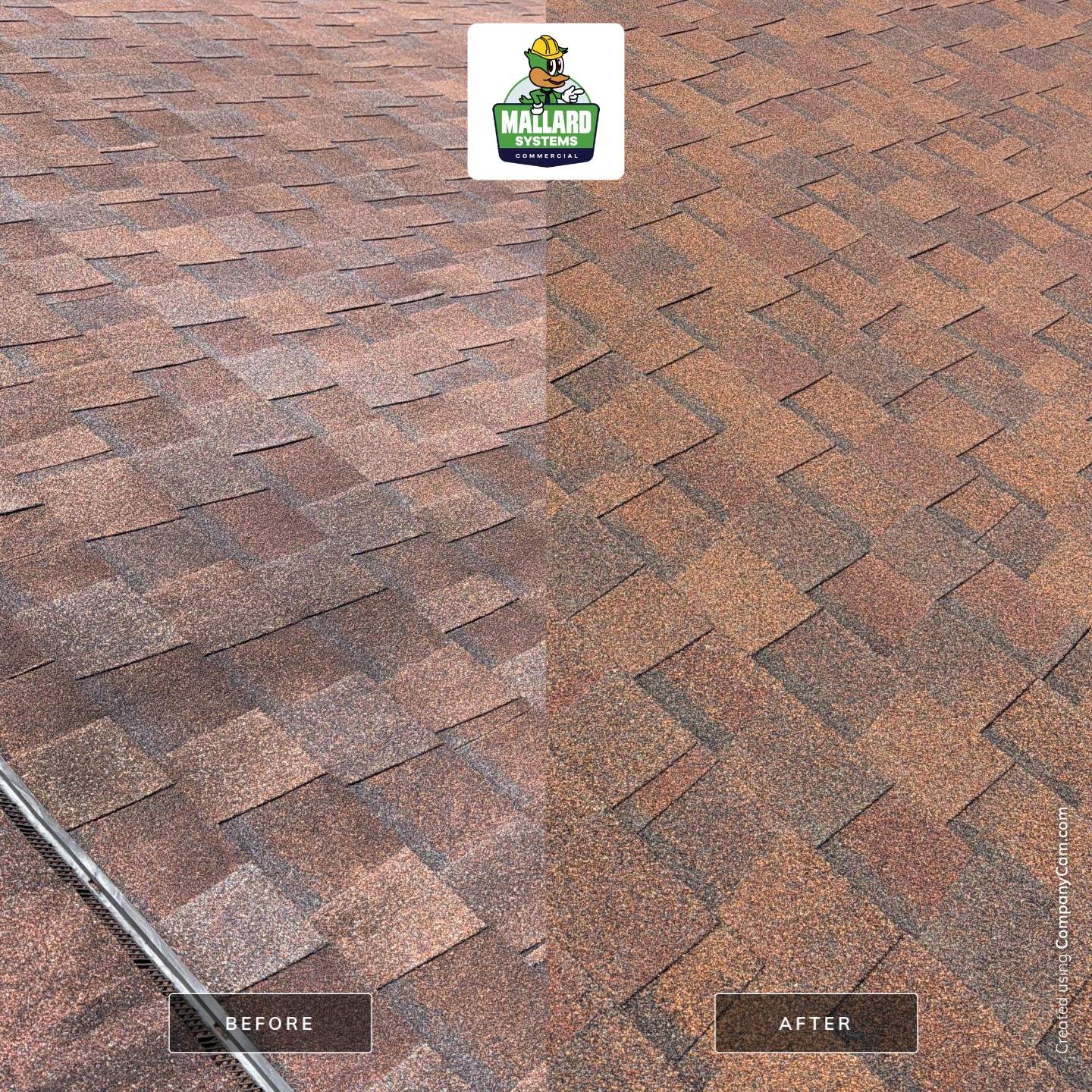 Shingle Roof Cleaning in Hunters Creek Orlando by Mallard Systems