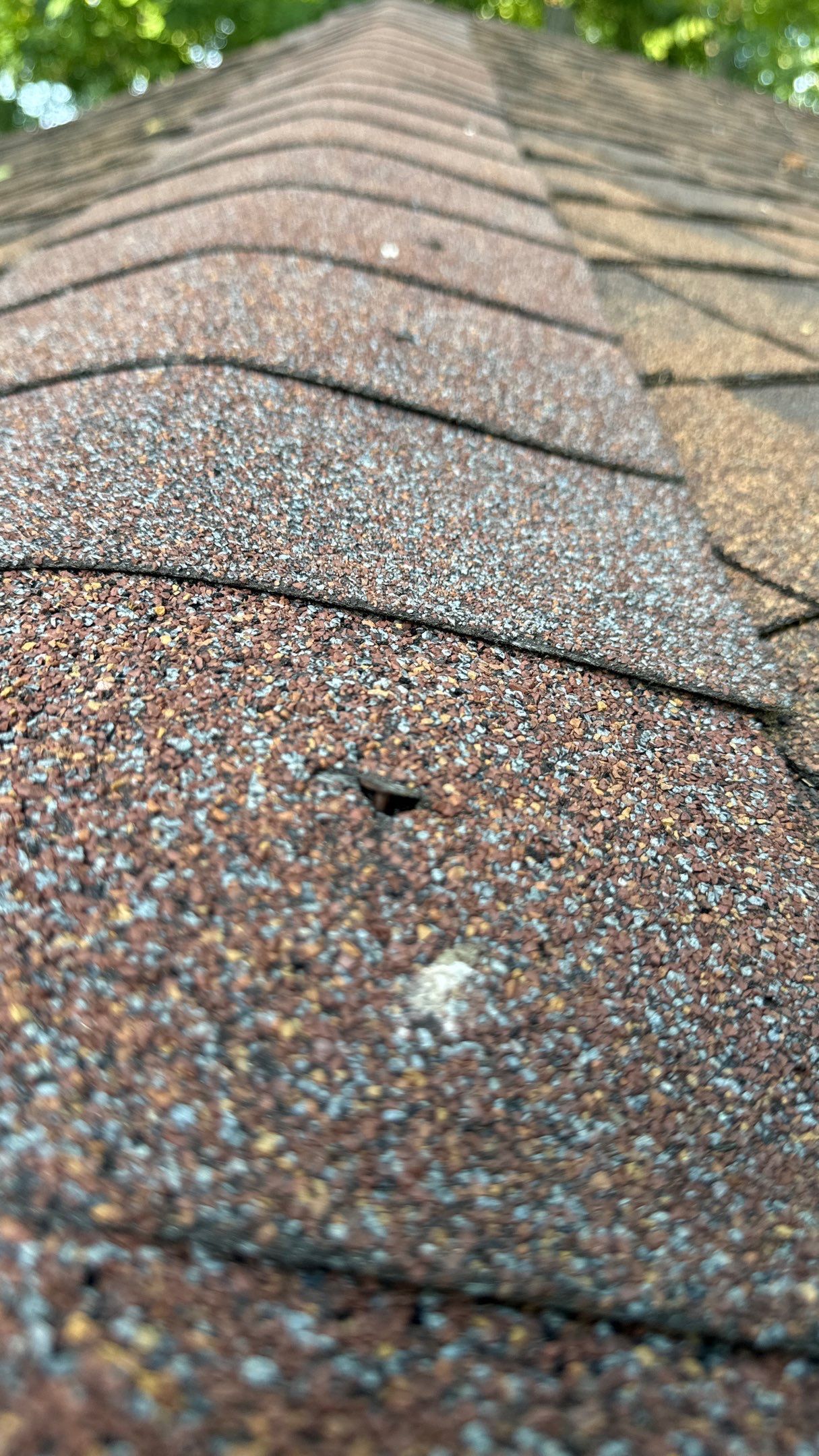 Roof Replacement using CertainTeed Northgate by 180 Contractors