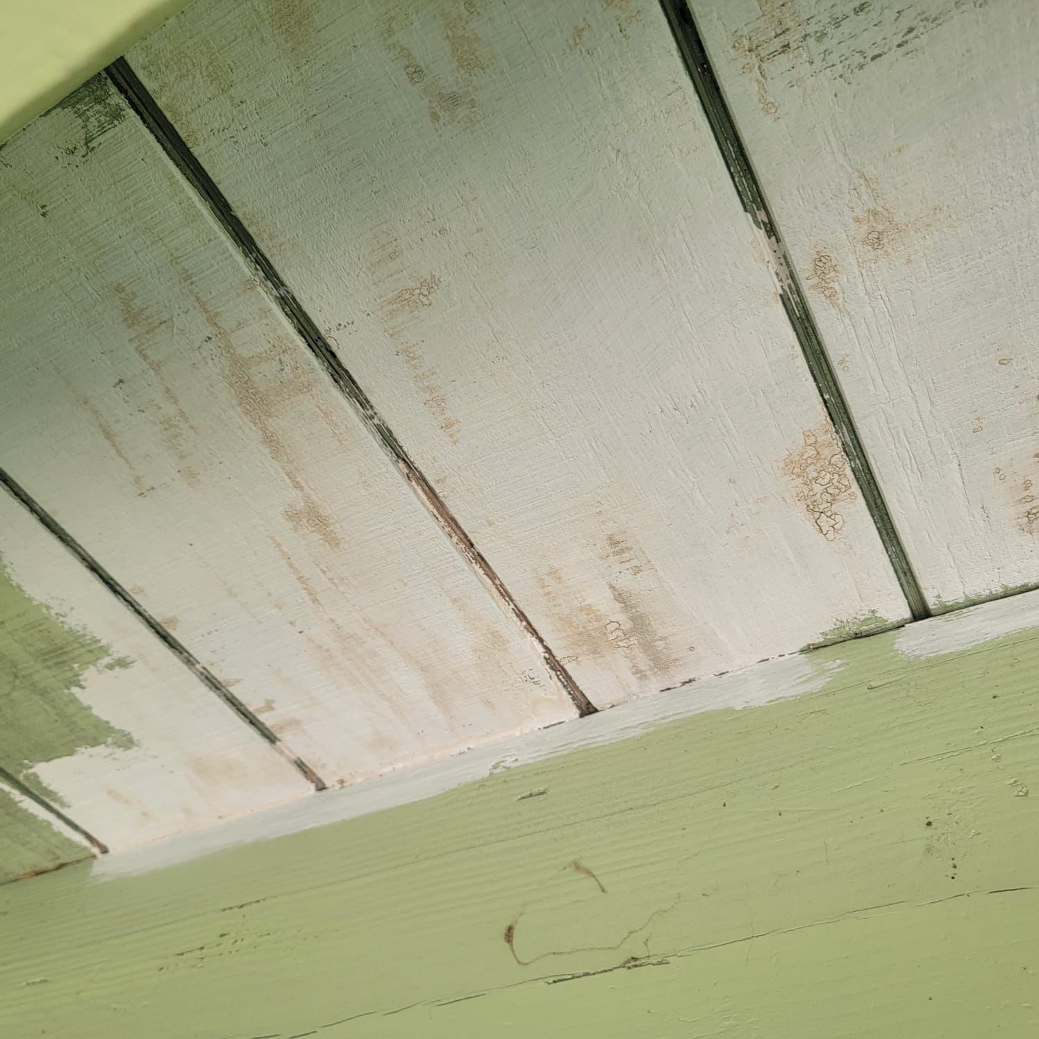 Deck Ceiling Painting in Conshohocken, PA by Davis Painting Llc 