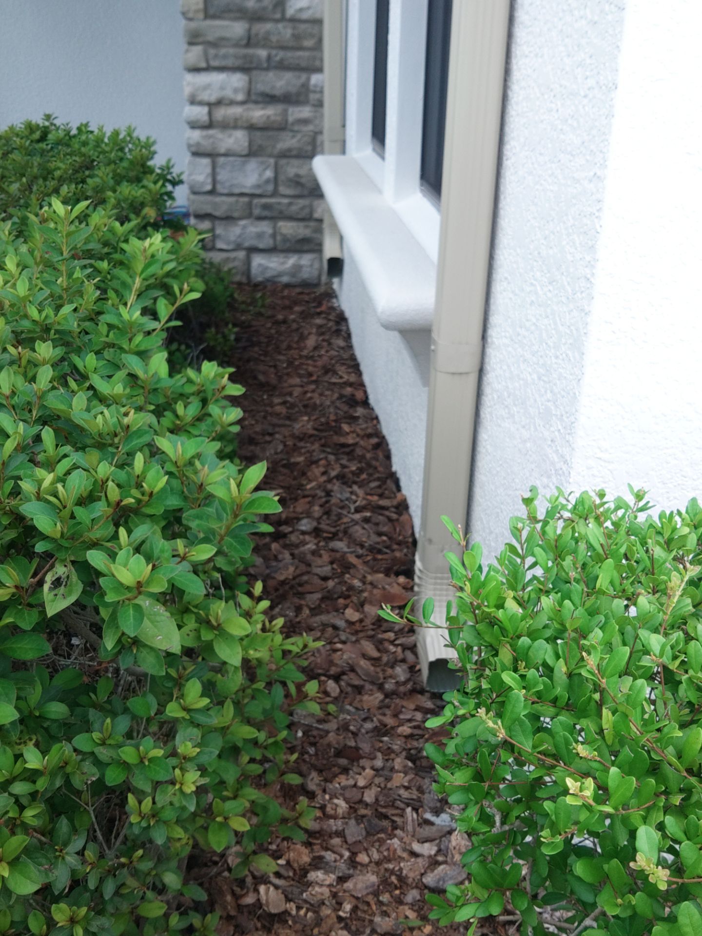 6-Inch K-Style Seamless Gutters in Bradenton FL by Gutter Professors