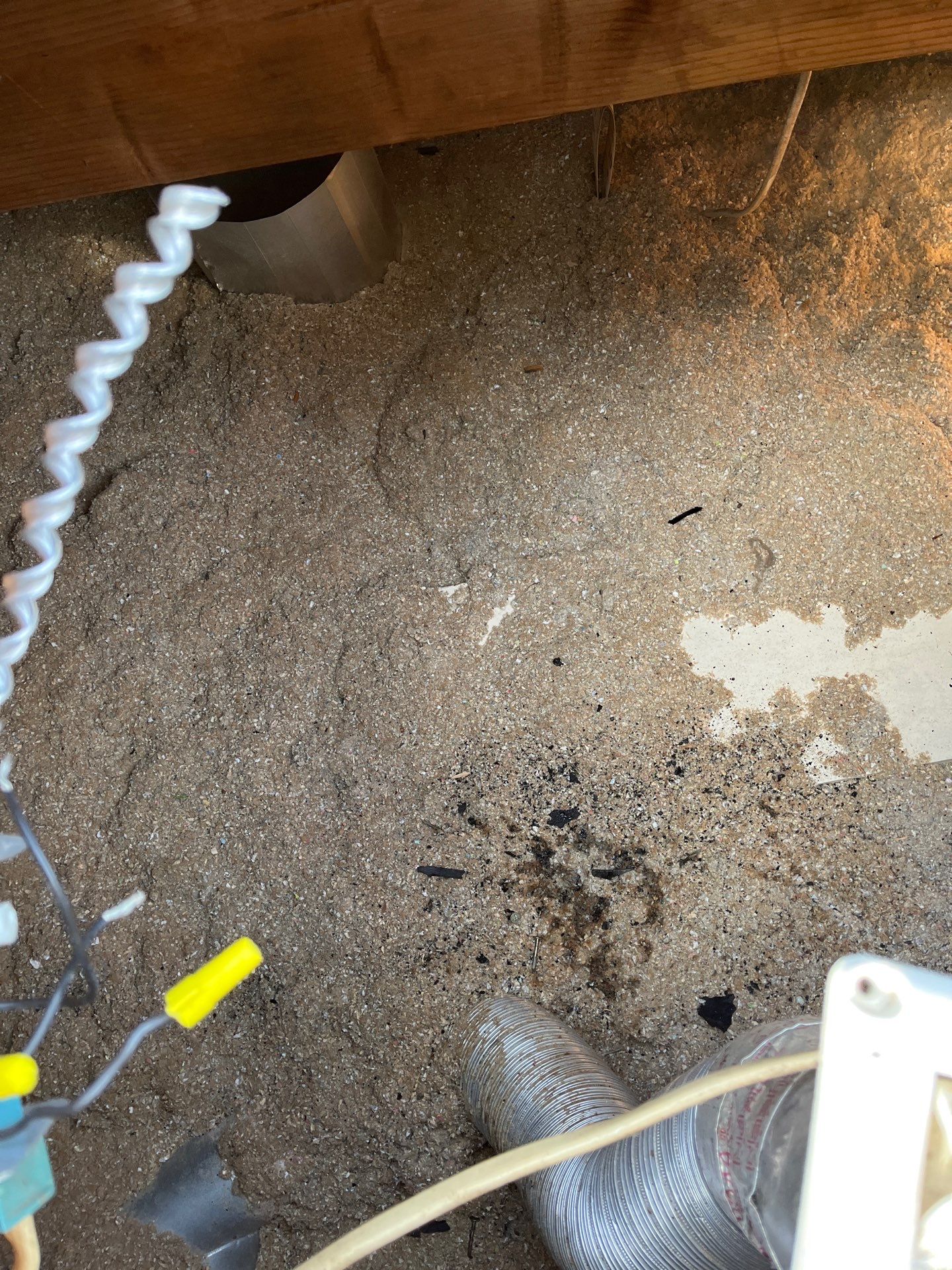 Falls Church: Roof Replacement with CertainTeed Landmark Pro in Max Def Pewterwood by RM Banning, Inc.