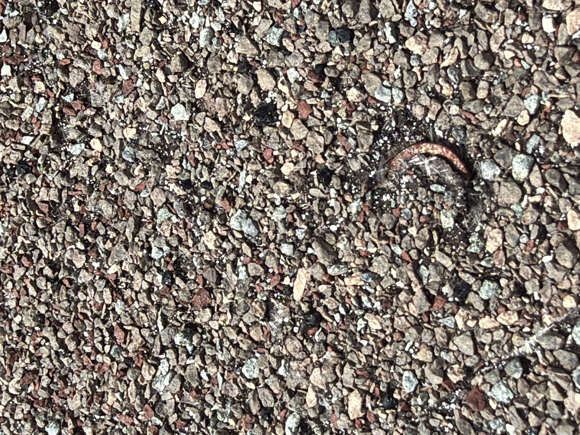 Hanley Downs Neighborhood – Comprehensive Roof Inspection by Acute Roofing And Exteriors 