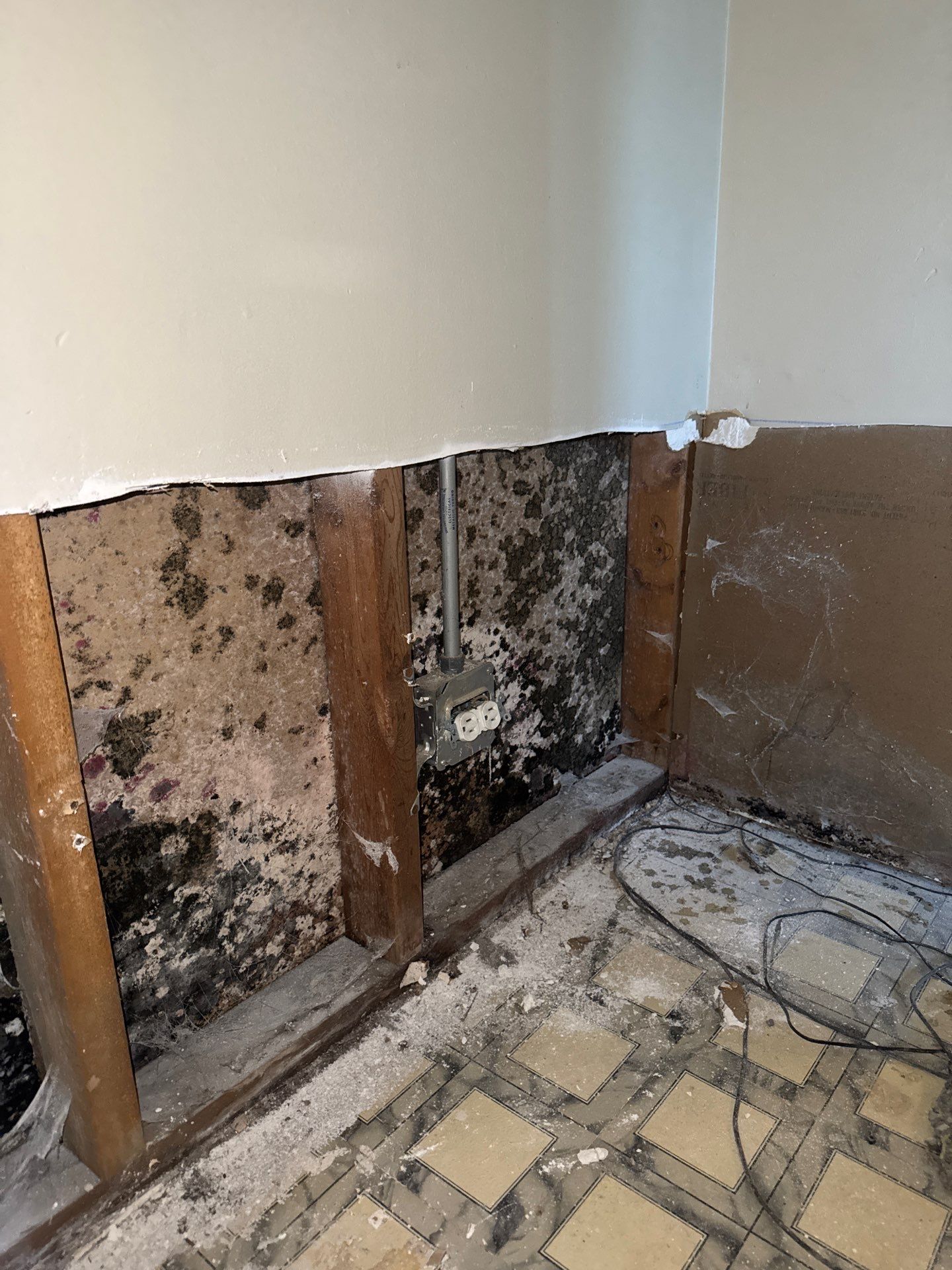 Mold Remediation Project by Chicagoland Water Medics