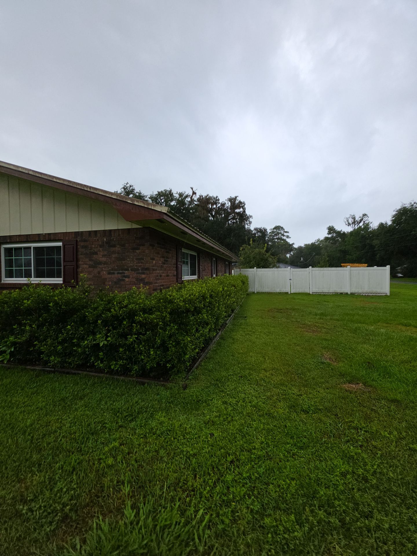 Energy-Efficient White Vinyl Window Replacement in Lake City, Florida by Windows & Doors Store
