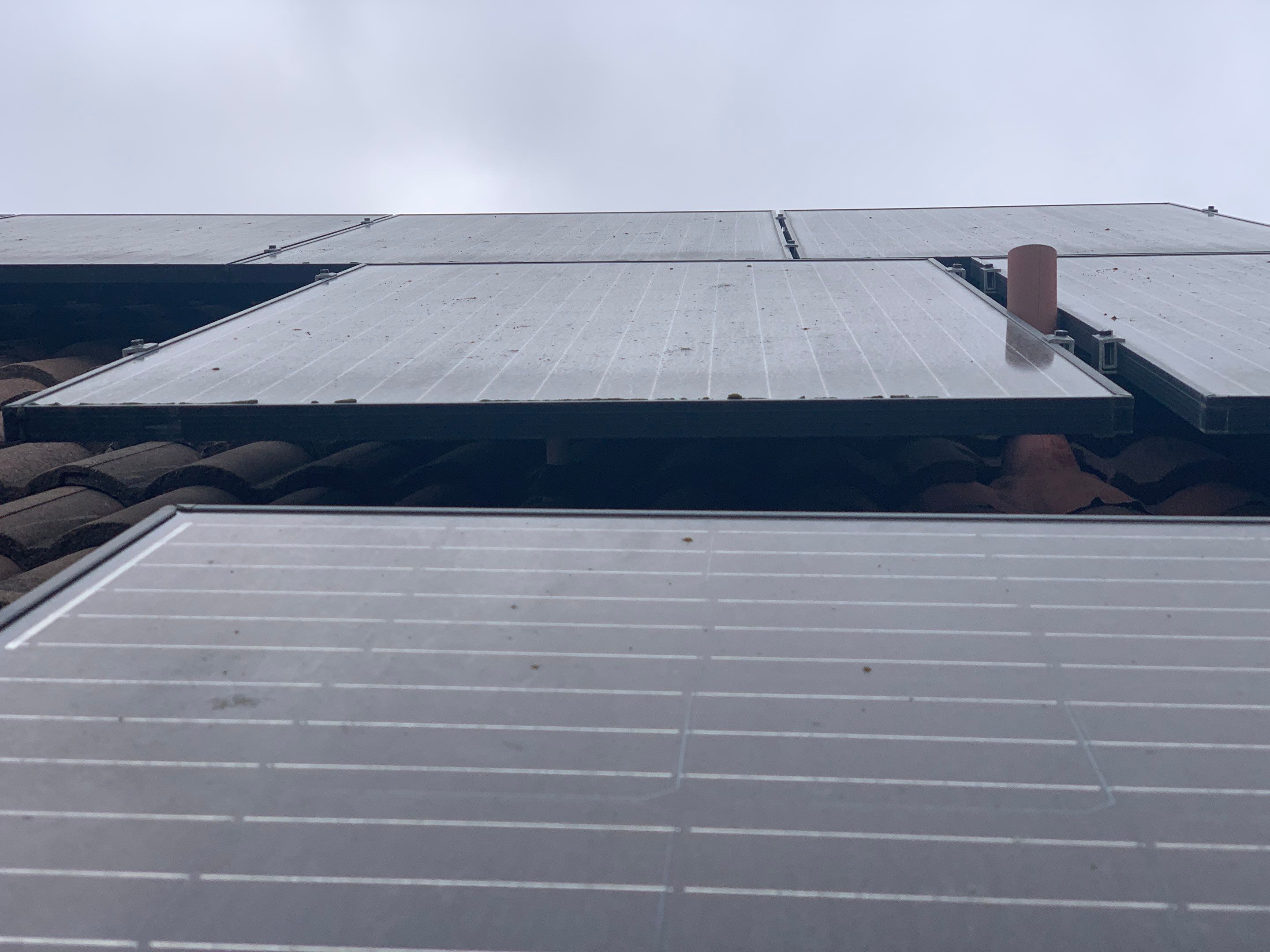 Rahul Prasad by SpotFree Window Cleaning