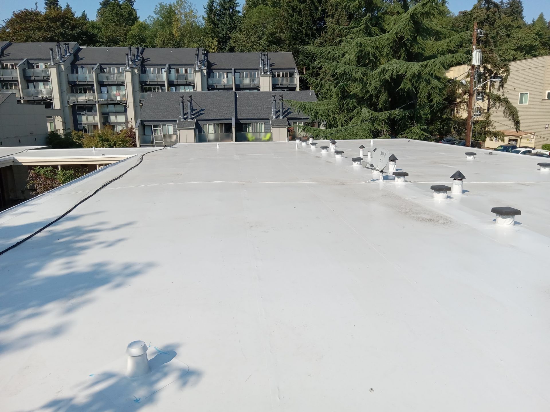 2024 Seattle Multi-Family Overlay by Alternative Roofing Systems Inc. 