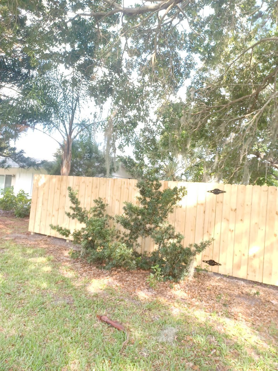 Sarasota, FL 6ft. Tall Treated Board on Board Wood Fence by Asap fence and gates, LLC